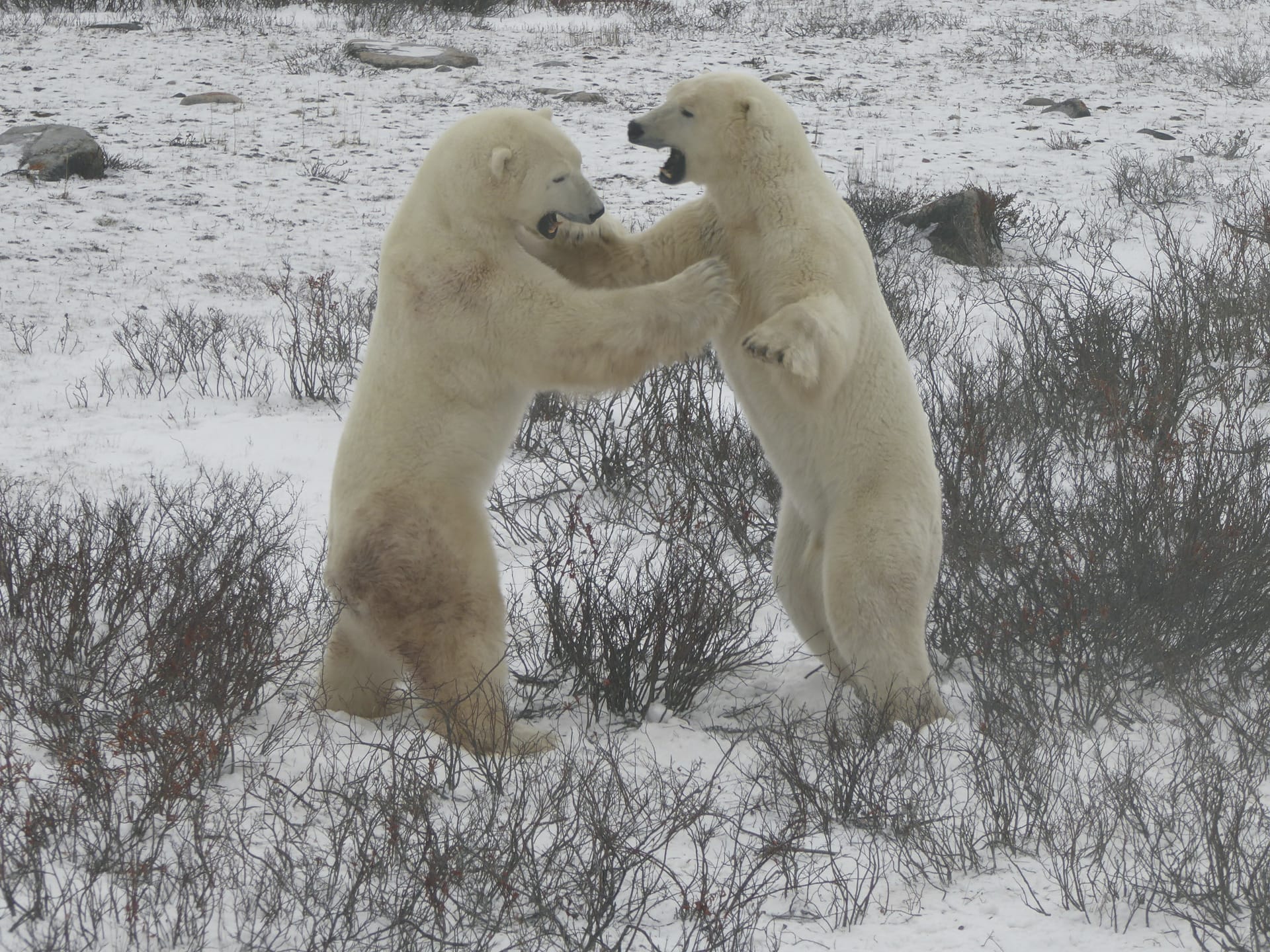 KAN_MB_20250422_JB_5_2