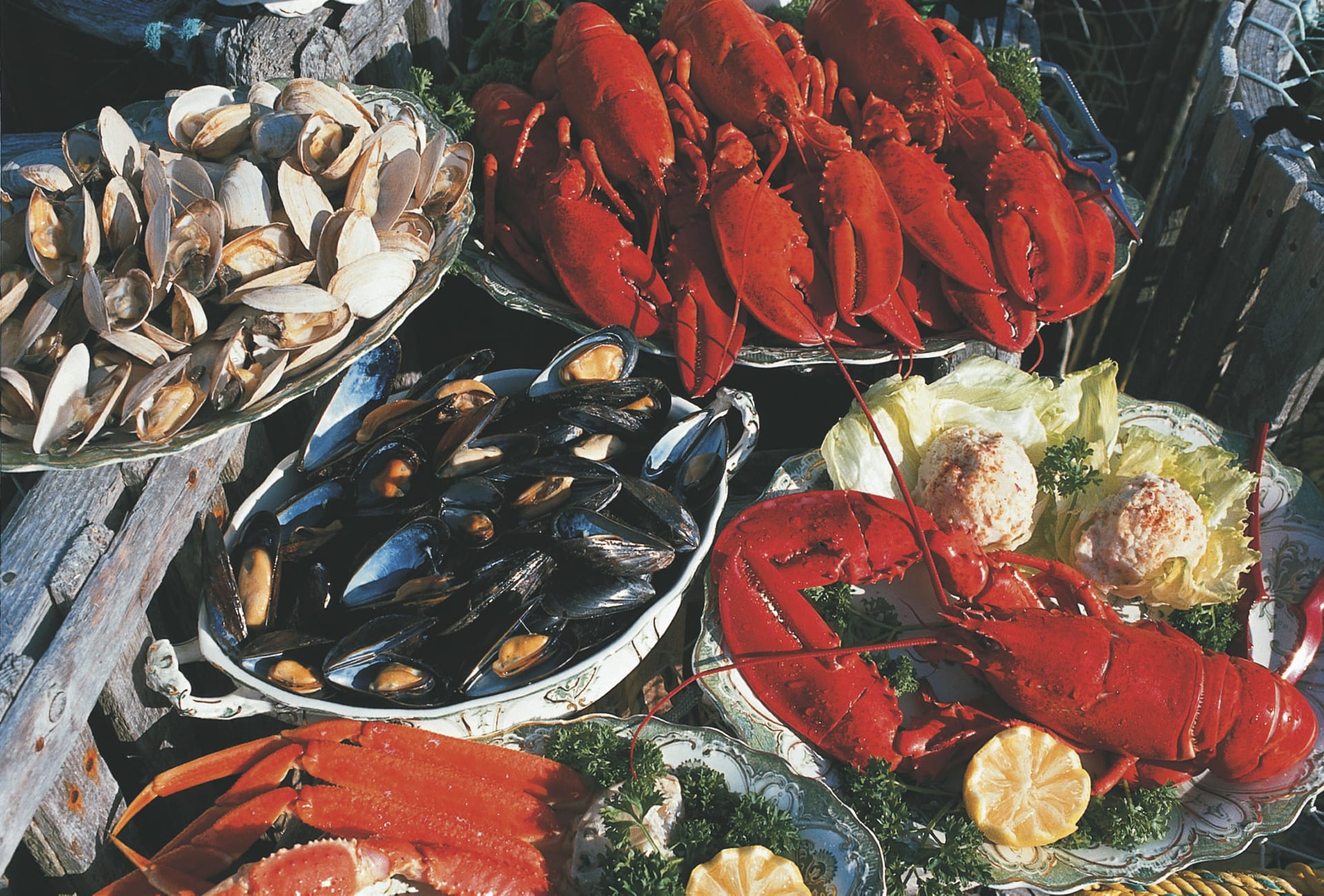 KAN_NS_20190910_JB_5