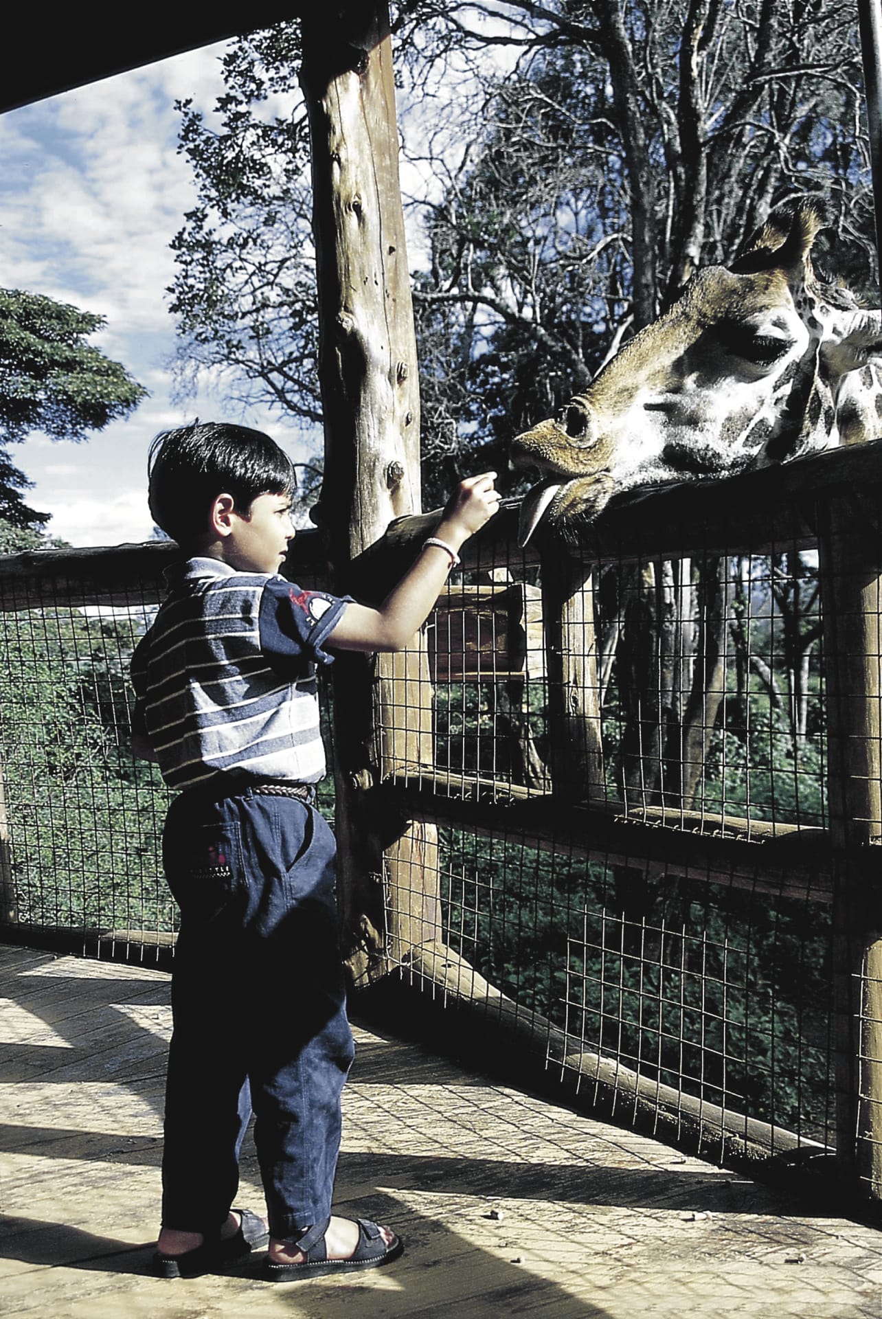 KEN_DIV_1062_20080821_SS