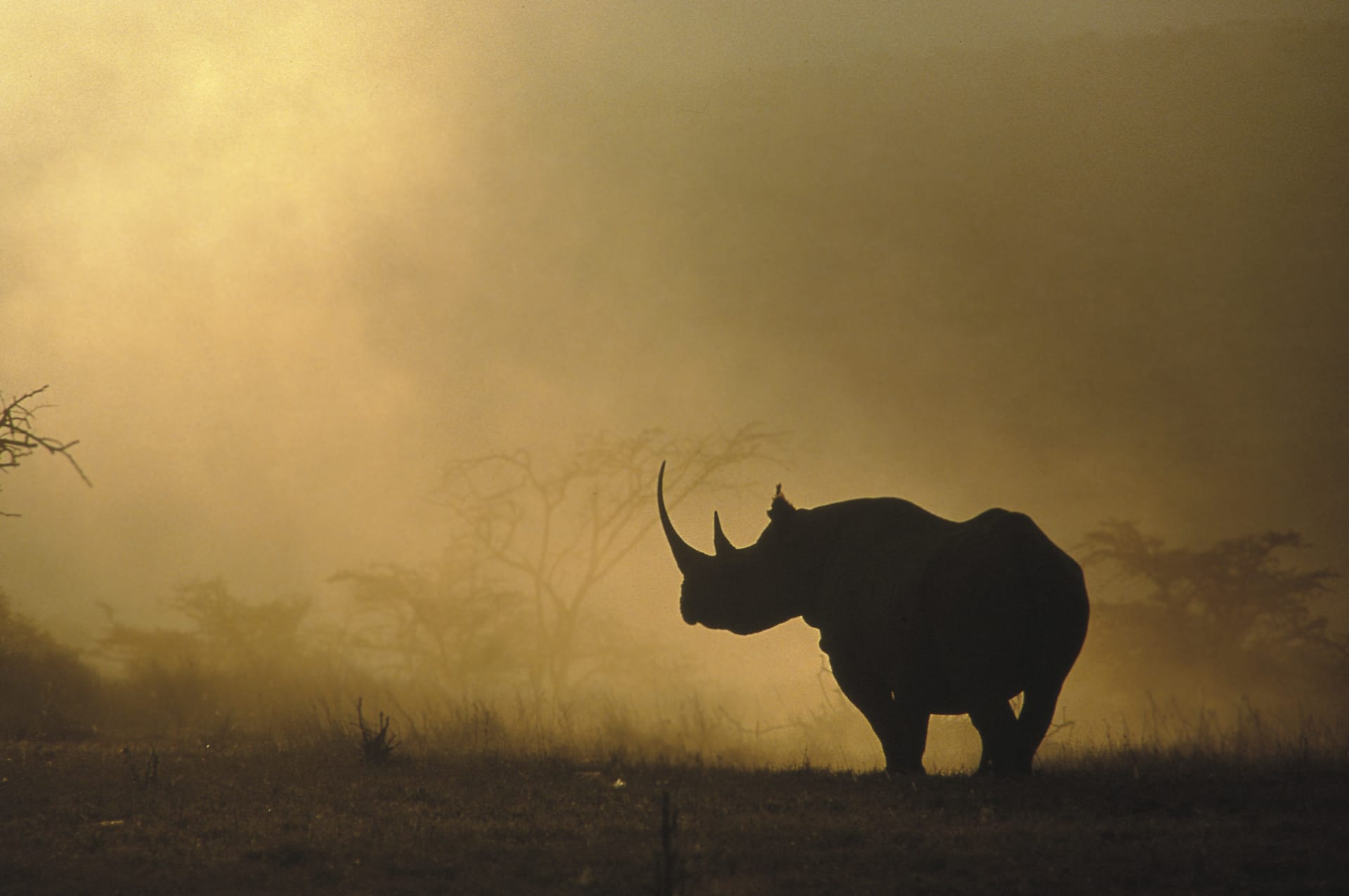 KEN_DIV_116_20070404_BR