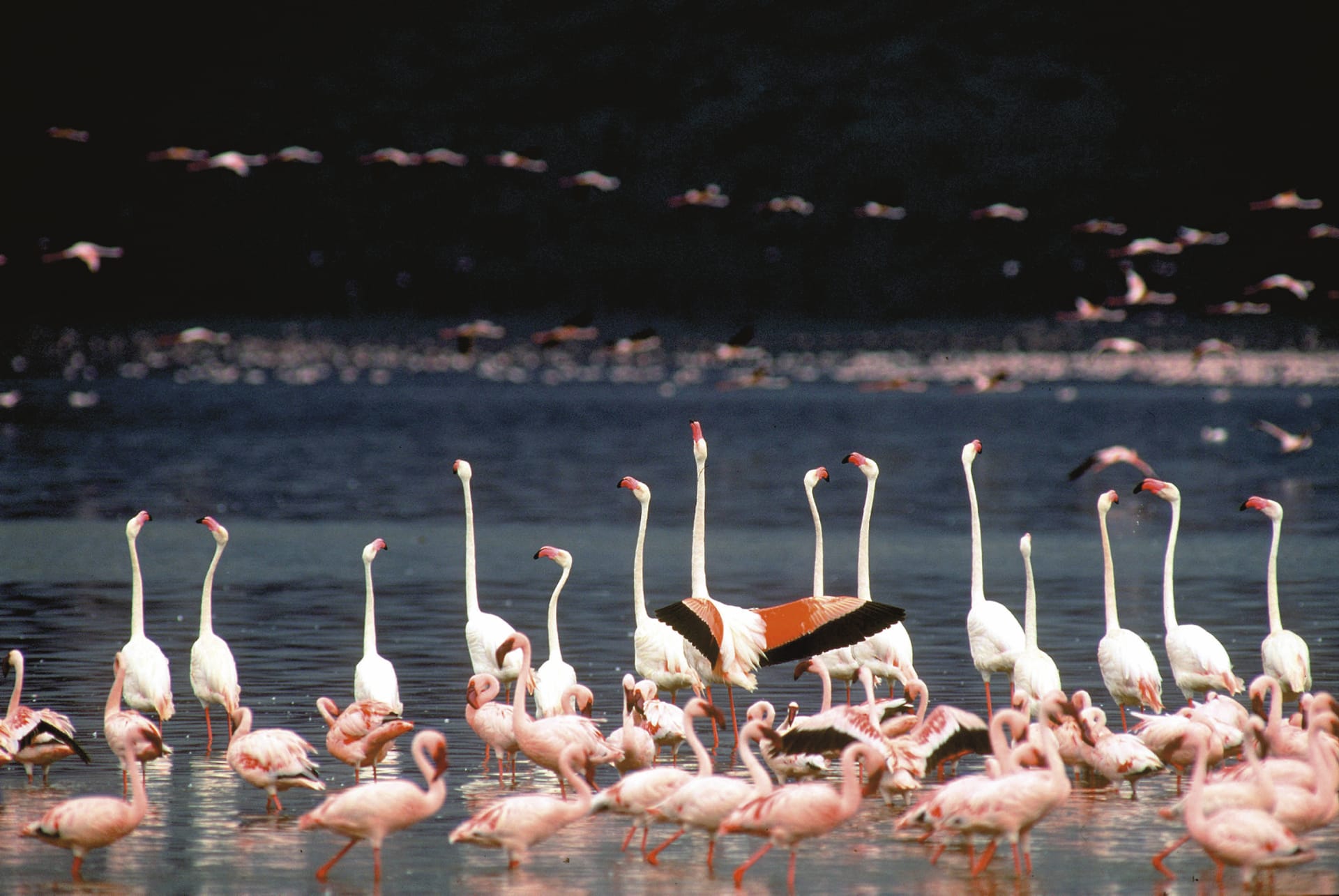 KEN_REG_005_20150625_DIA