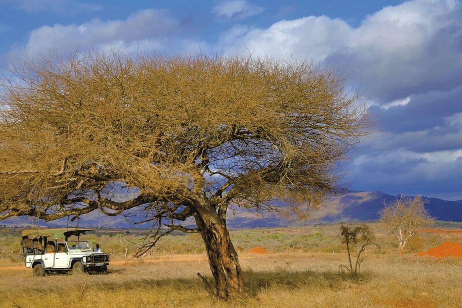 KEN_REG_029_20170714_DIA