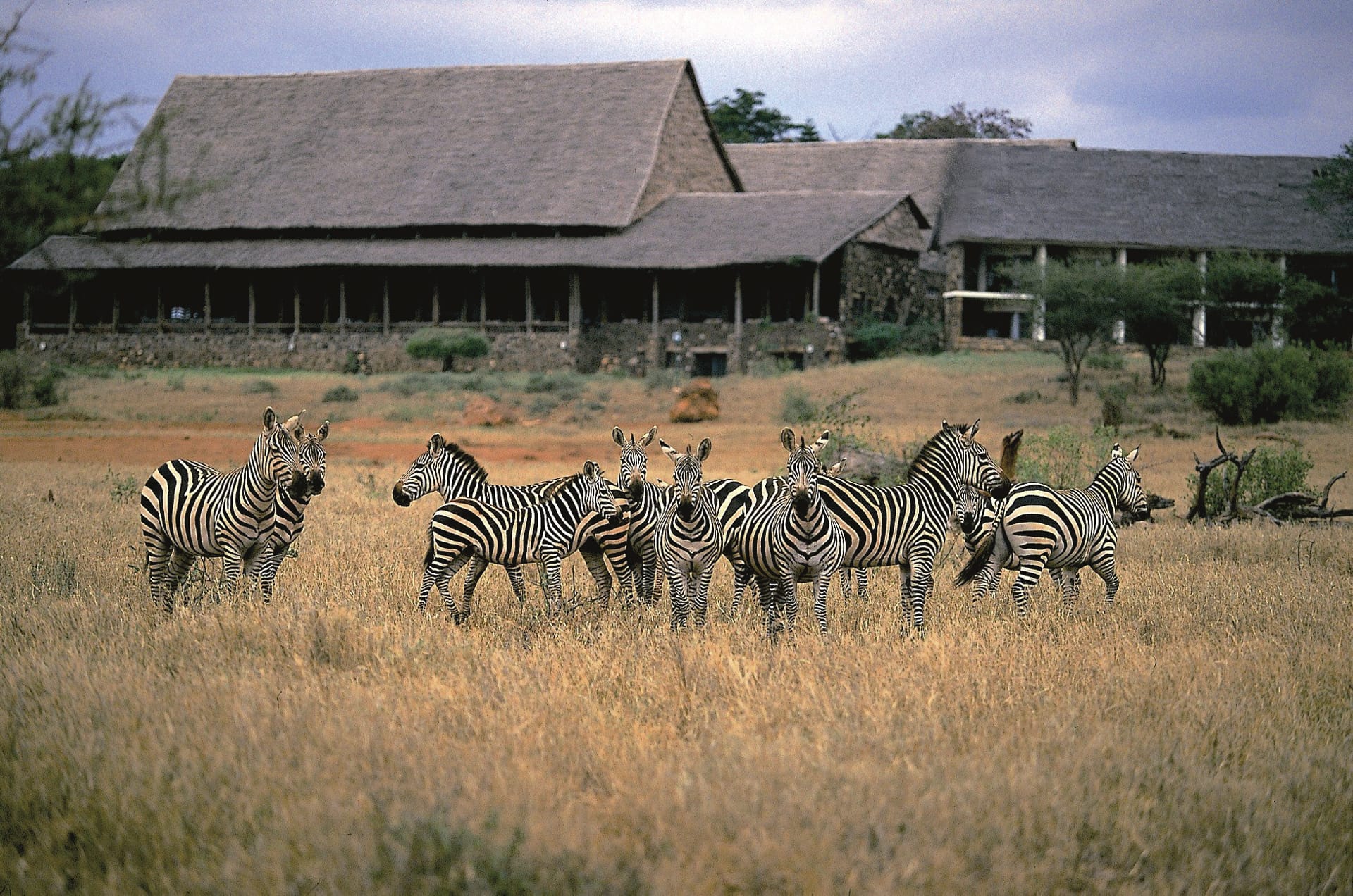 KEN_REG_030_20170714_DIA