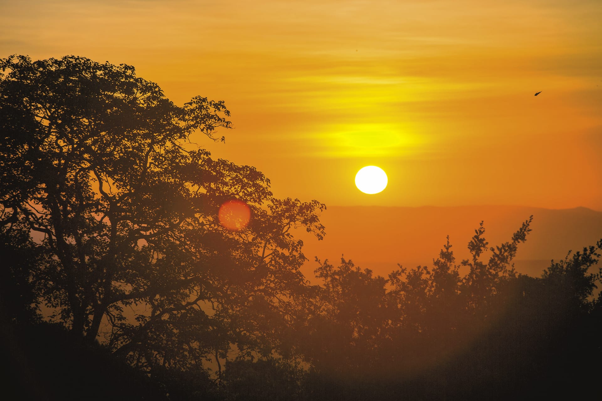 KEN_REG_039_20170717_DIA