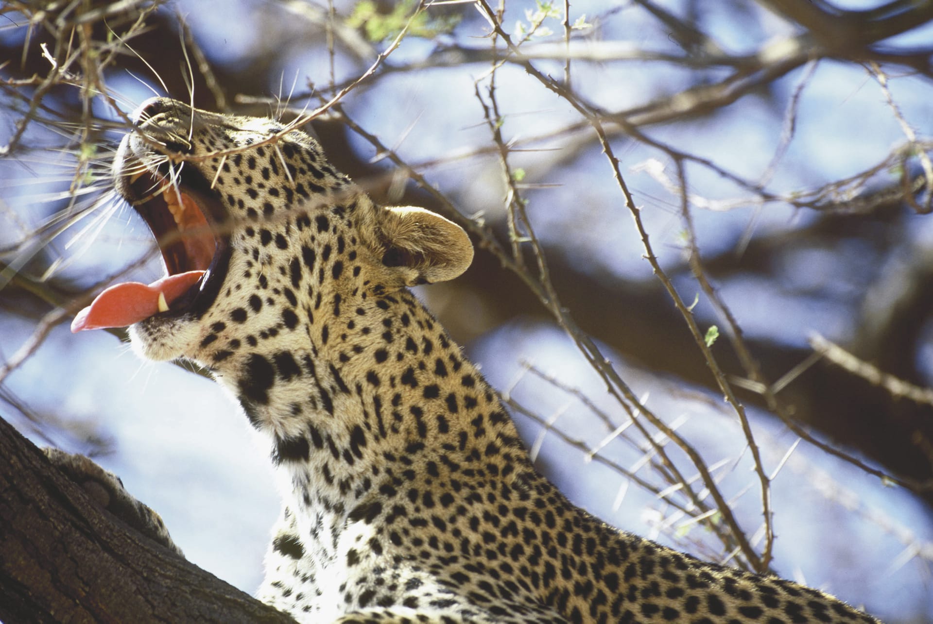 KEN_REG_062_20070404_BR