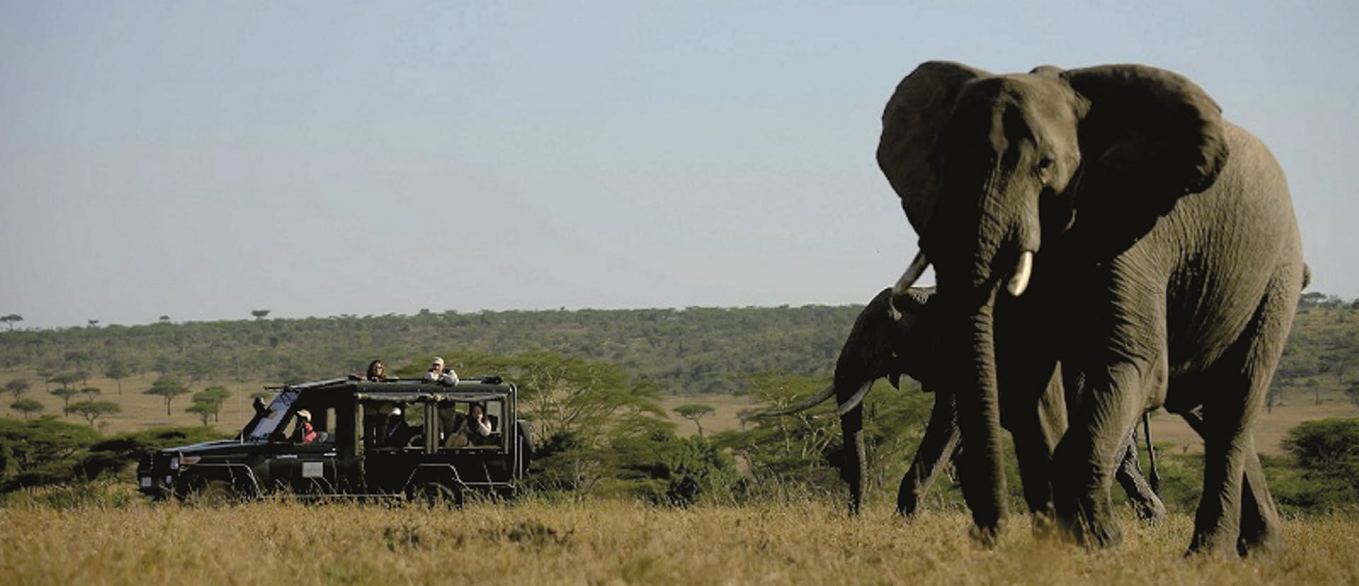 KEN_REG_090_20140811_DIA