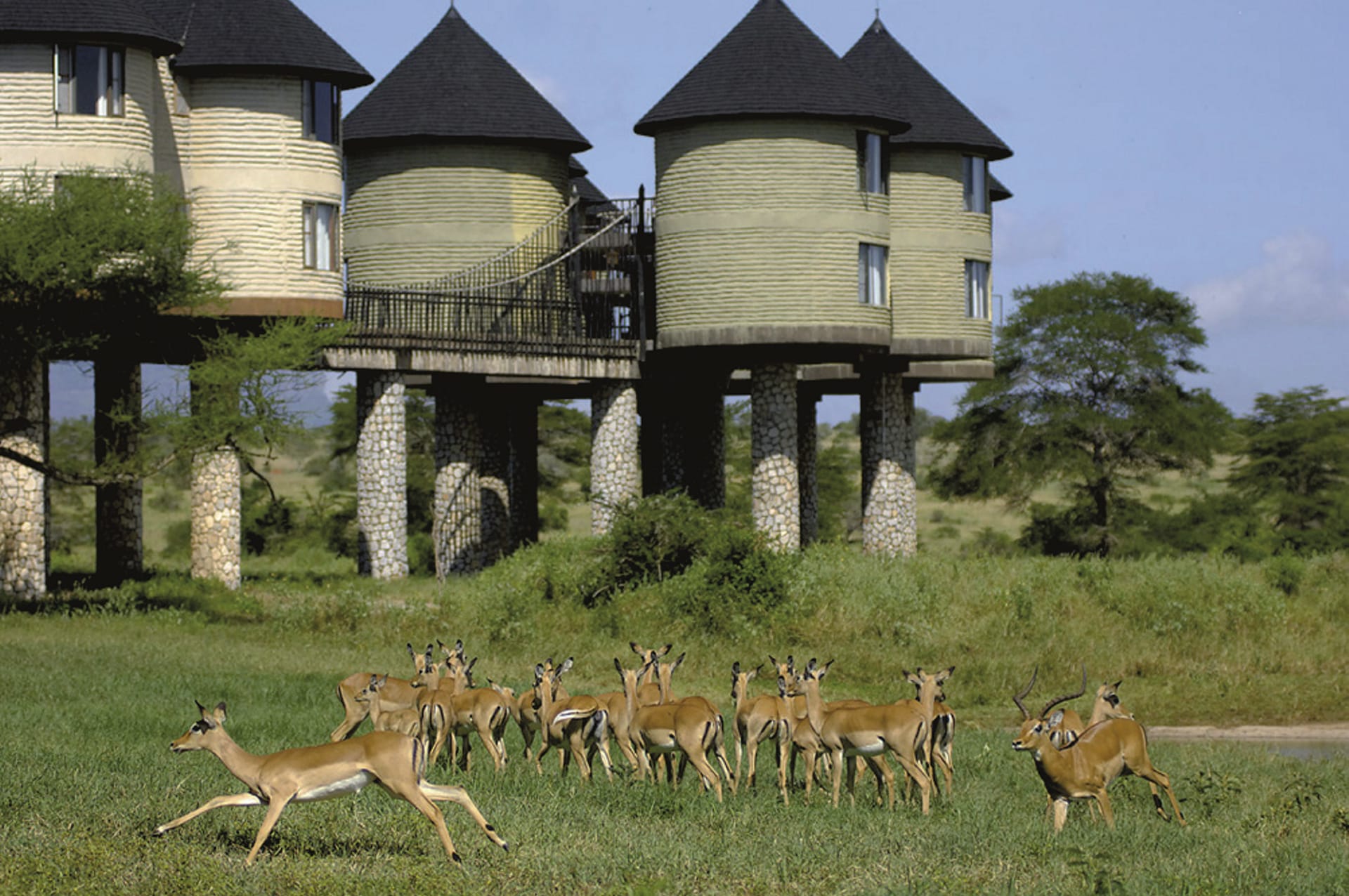 KEN_REG_093_20140811_DIA