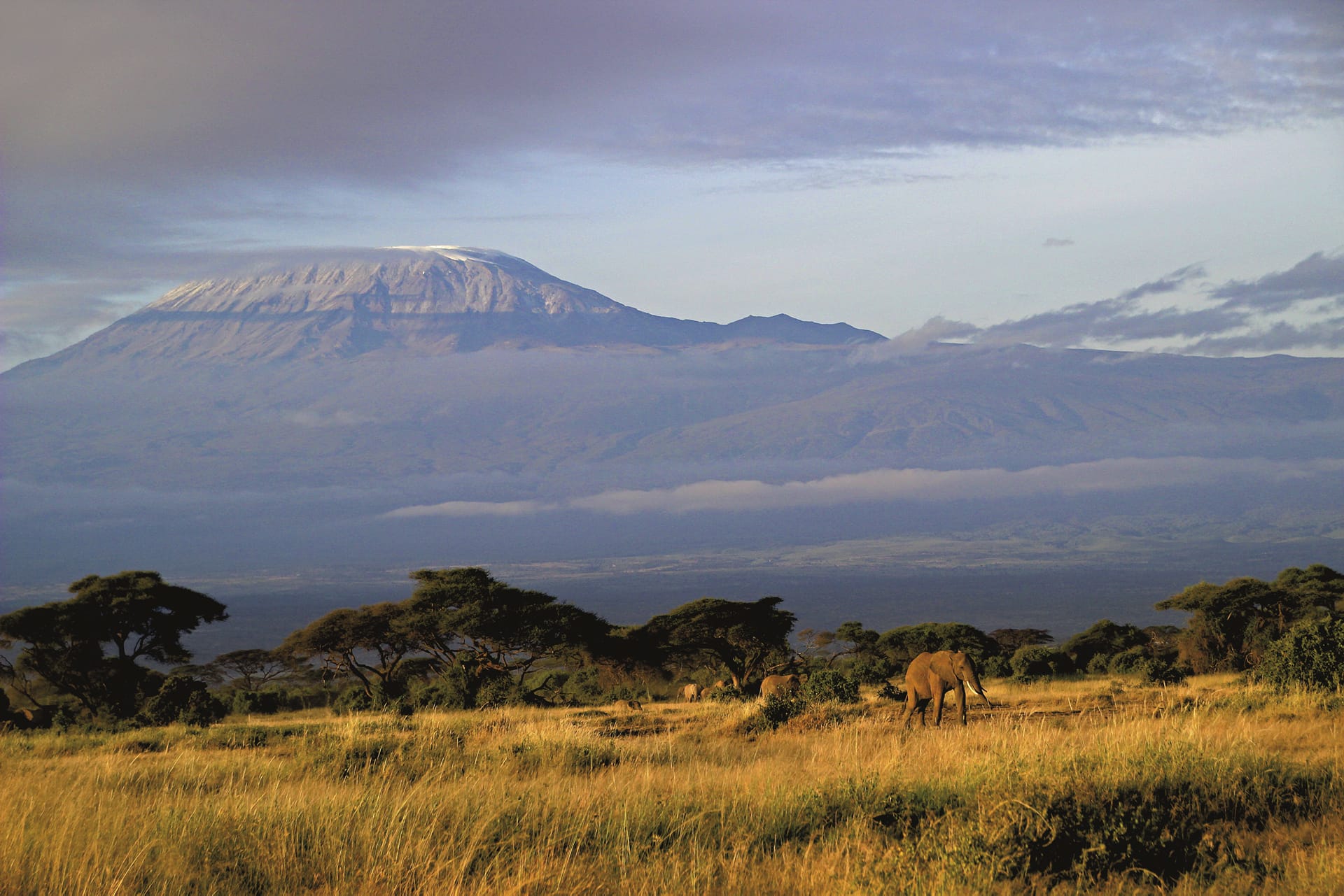 KEN_REG_102_20150625_DIA