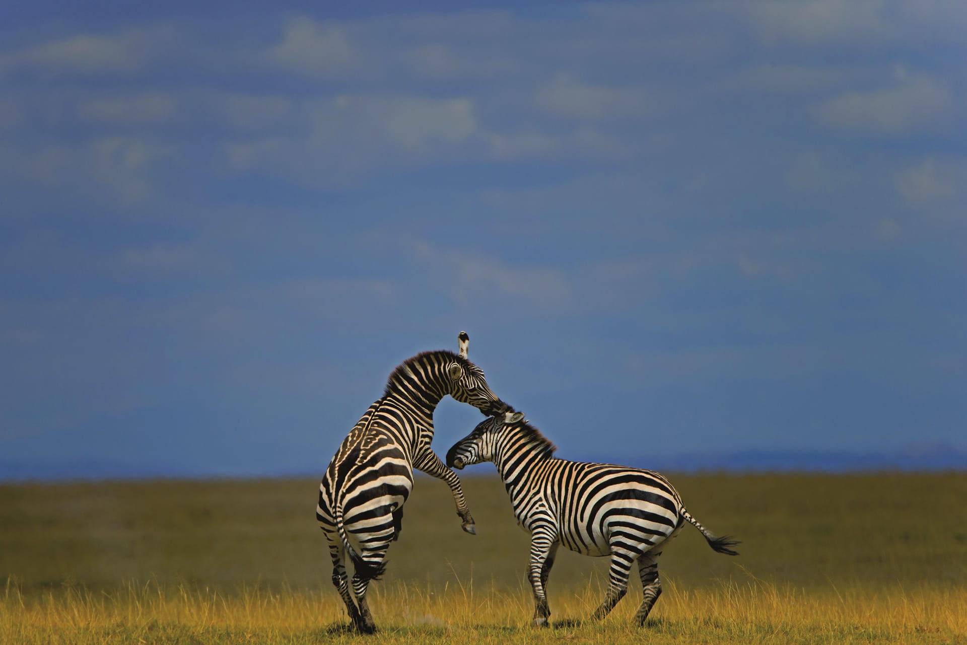 KEN_REG_116_20150625_DIA