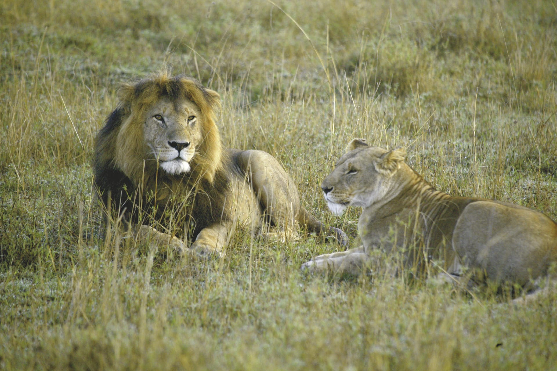 KEN_REG_139_20070404_BR