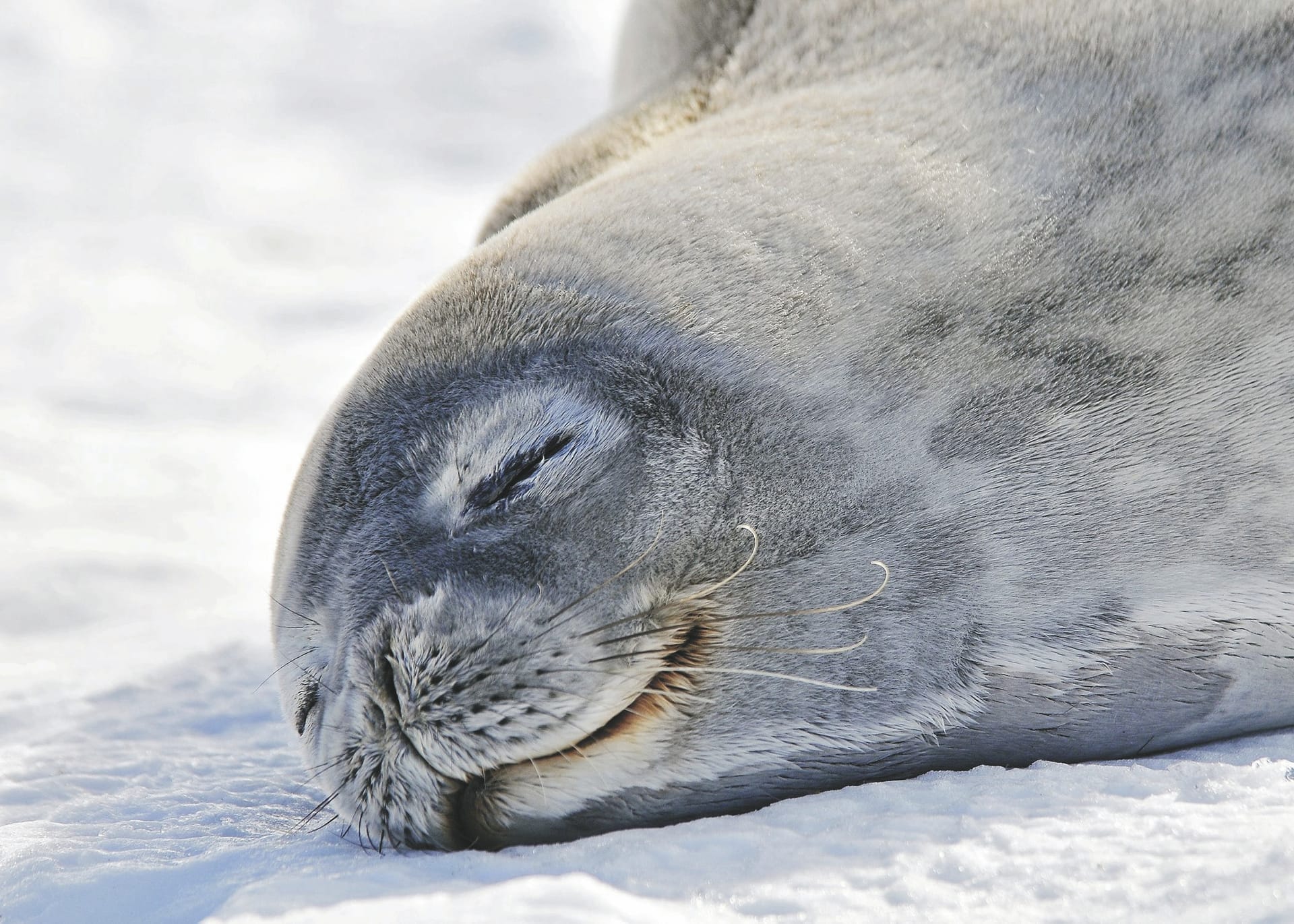 KFT_KF_002_20170901_KA