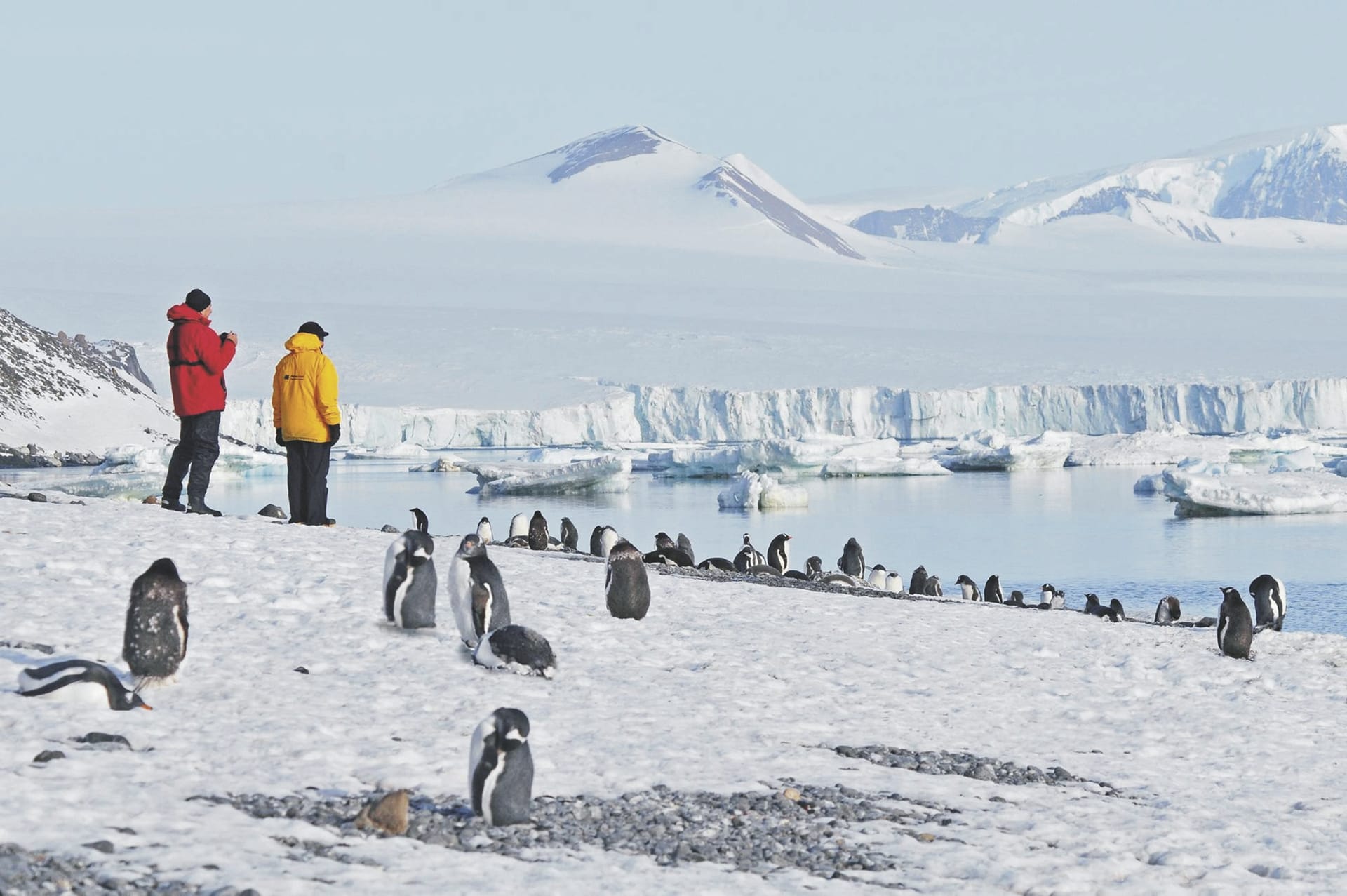 KFT_KF_048_20180202_KA