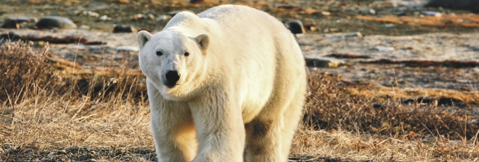 KFT_KF_20240425_GW_1