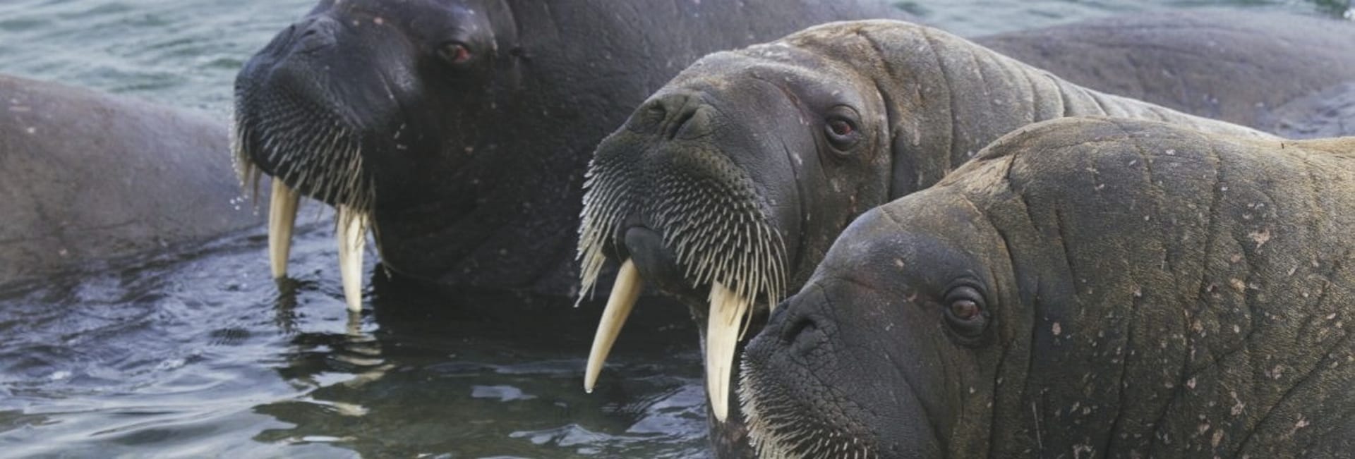 KFT_KF_20240425_GW_7