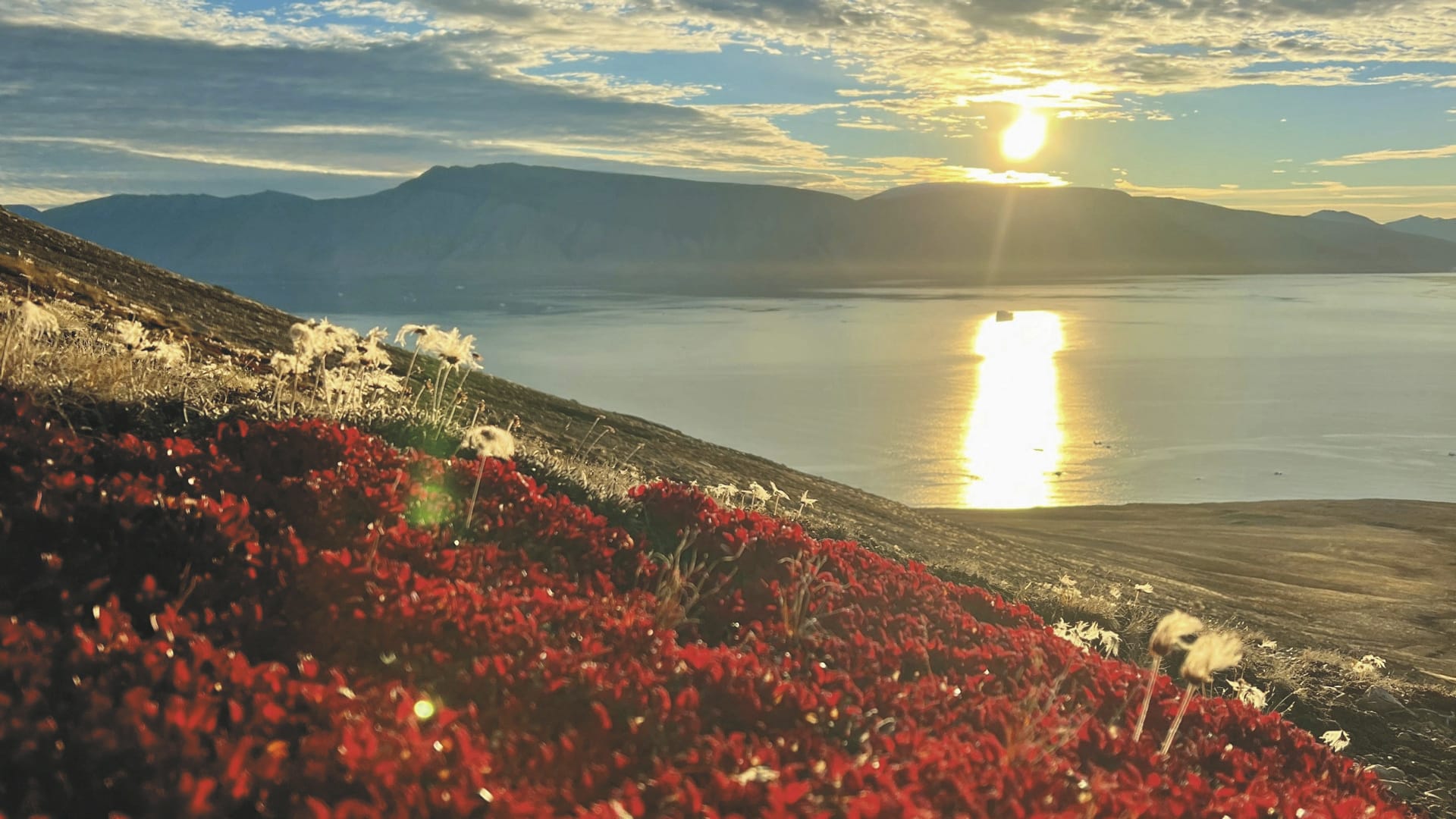 KFT_KF_20241108_GW_12