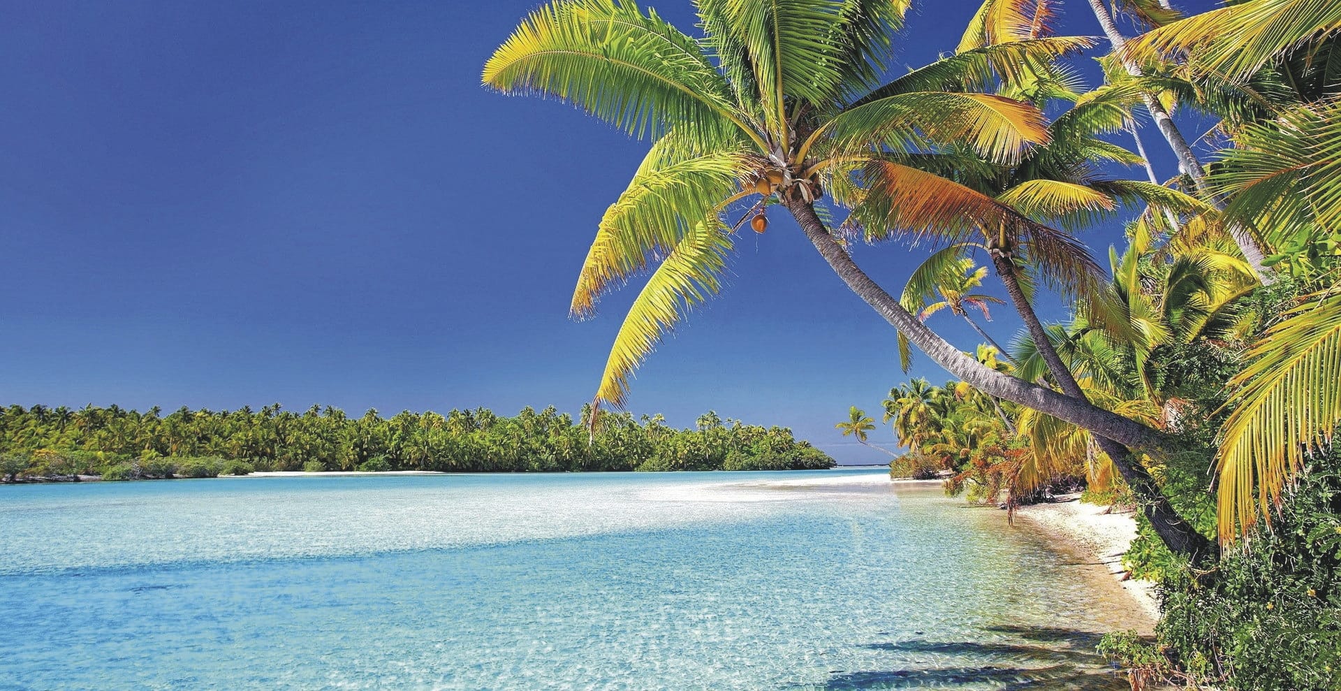 KFT_KF_20250202_GW_2