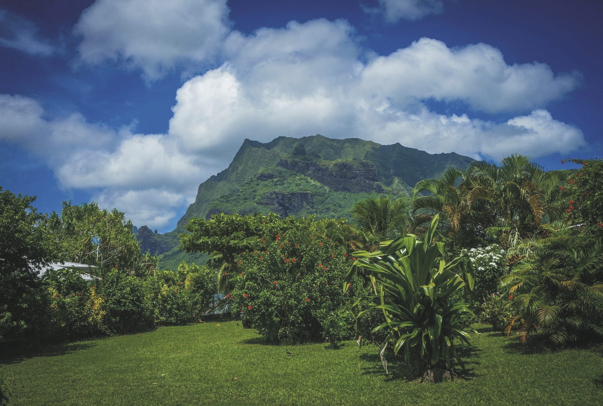 KFT_KF_20250204_GW_2