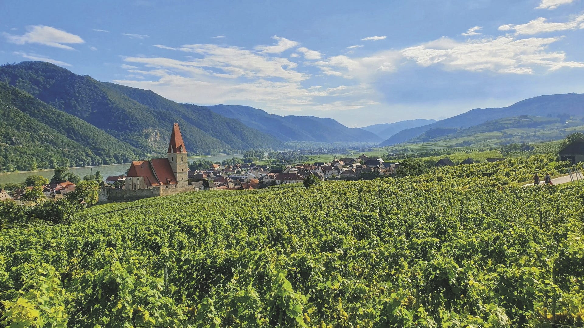 KFT_KF_20250318_GW_4