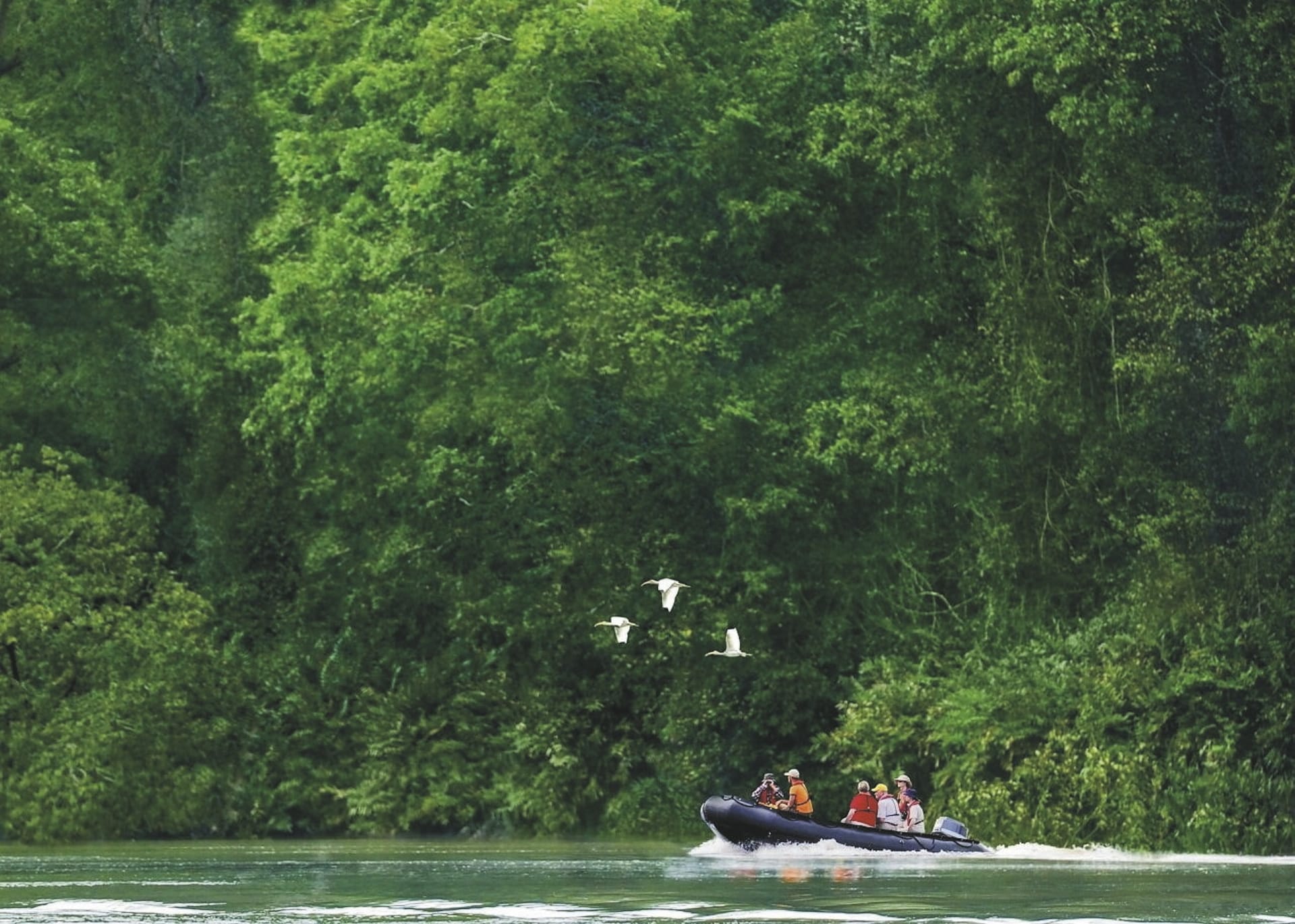 KFT_KF_20250701_GW_6