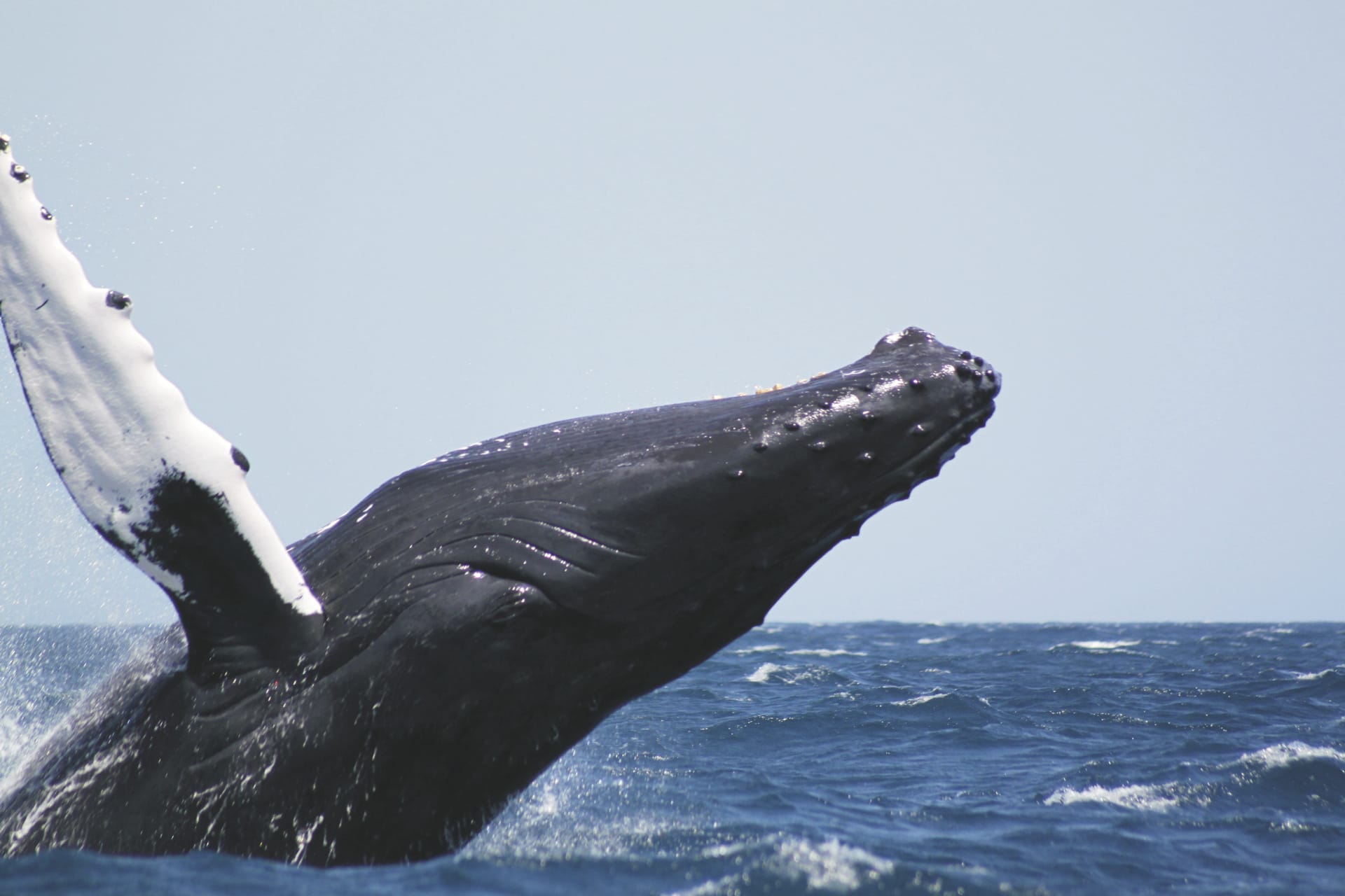 KRB_DO_20230208_HG_12