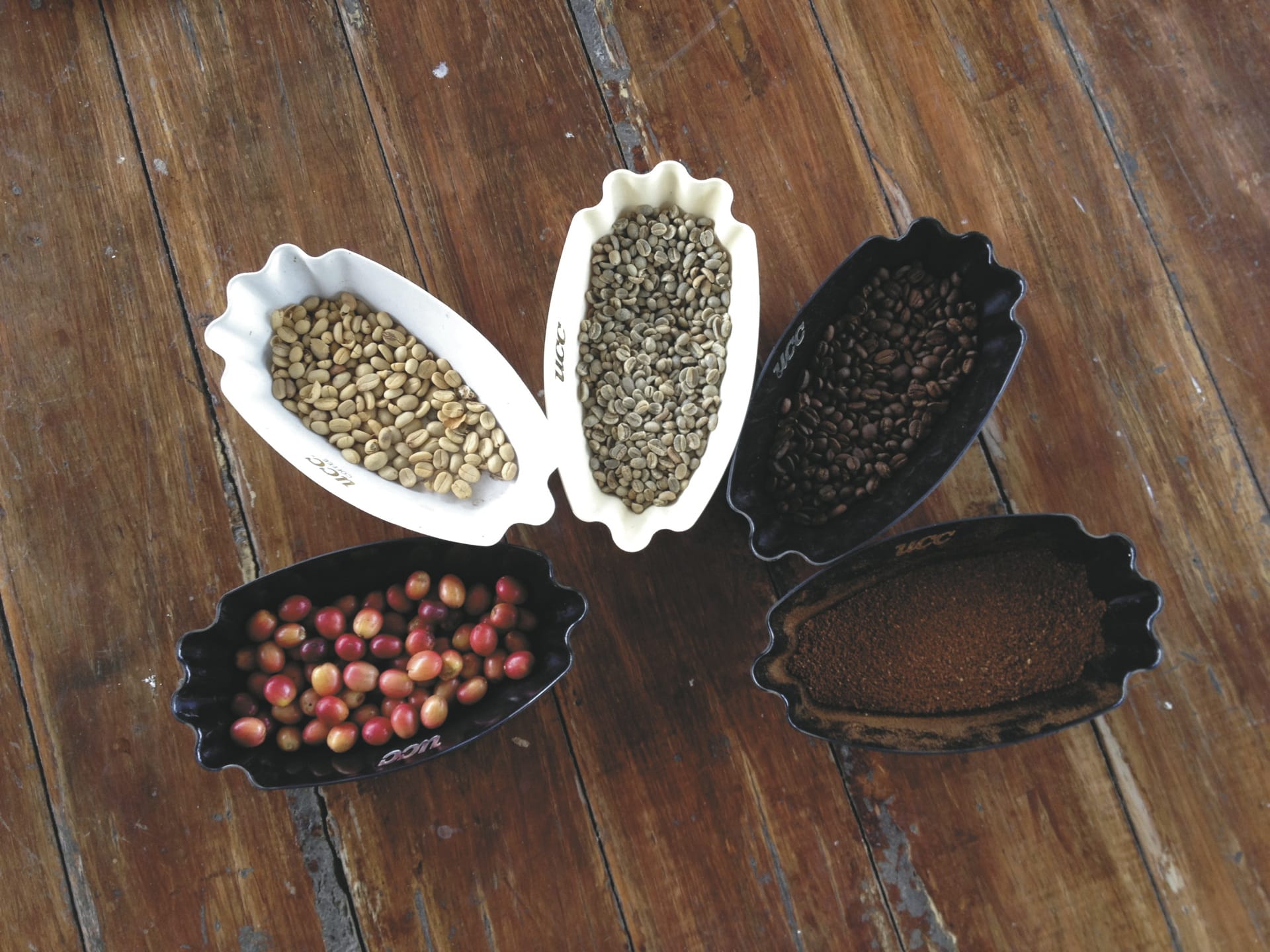 KRB_JM_20240409_HG_12