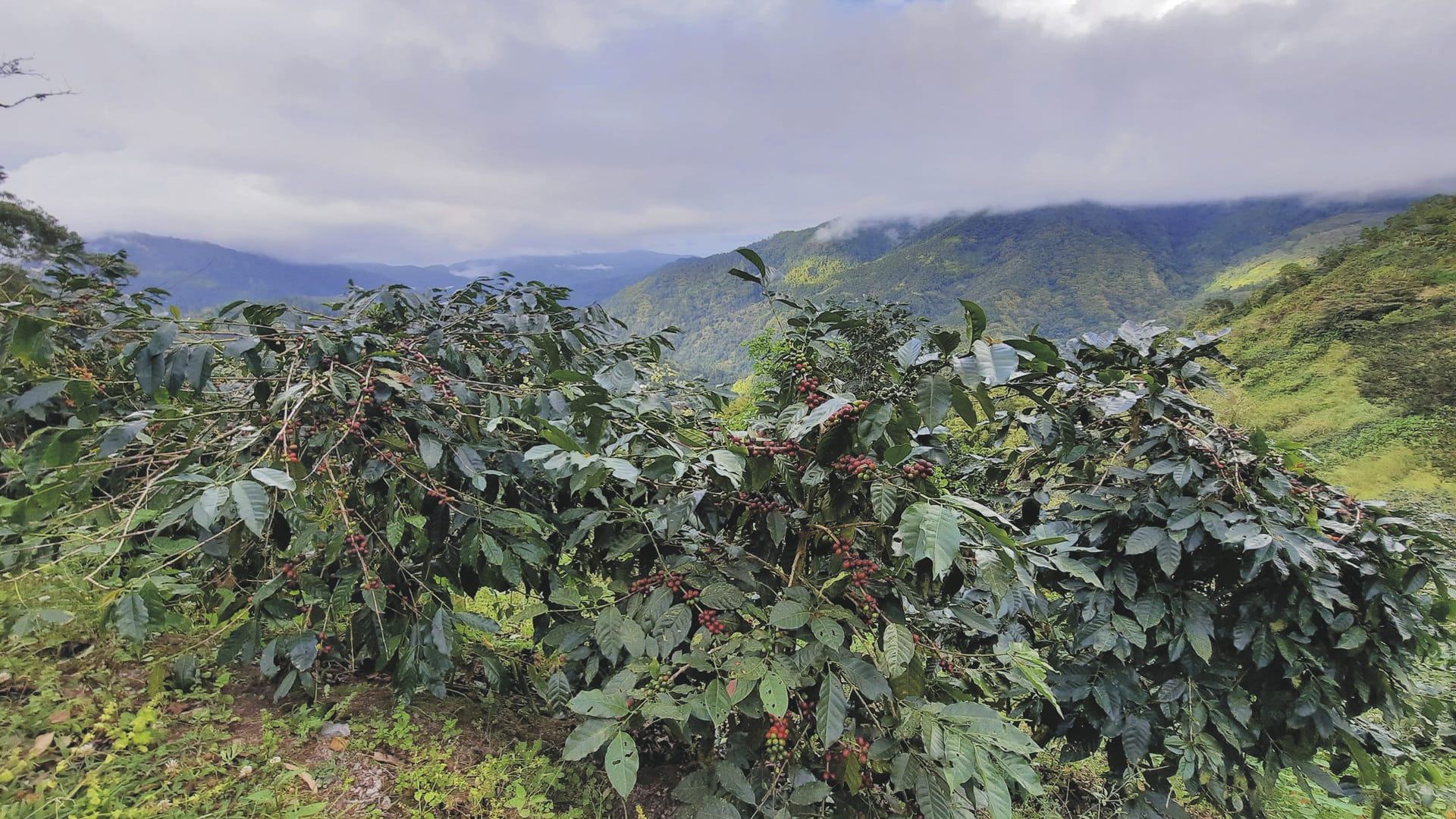 KRB_JM_20240409_HG_2