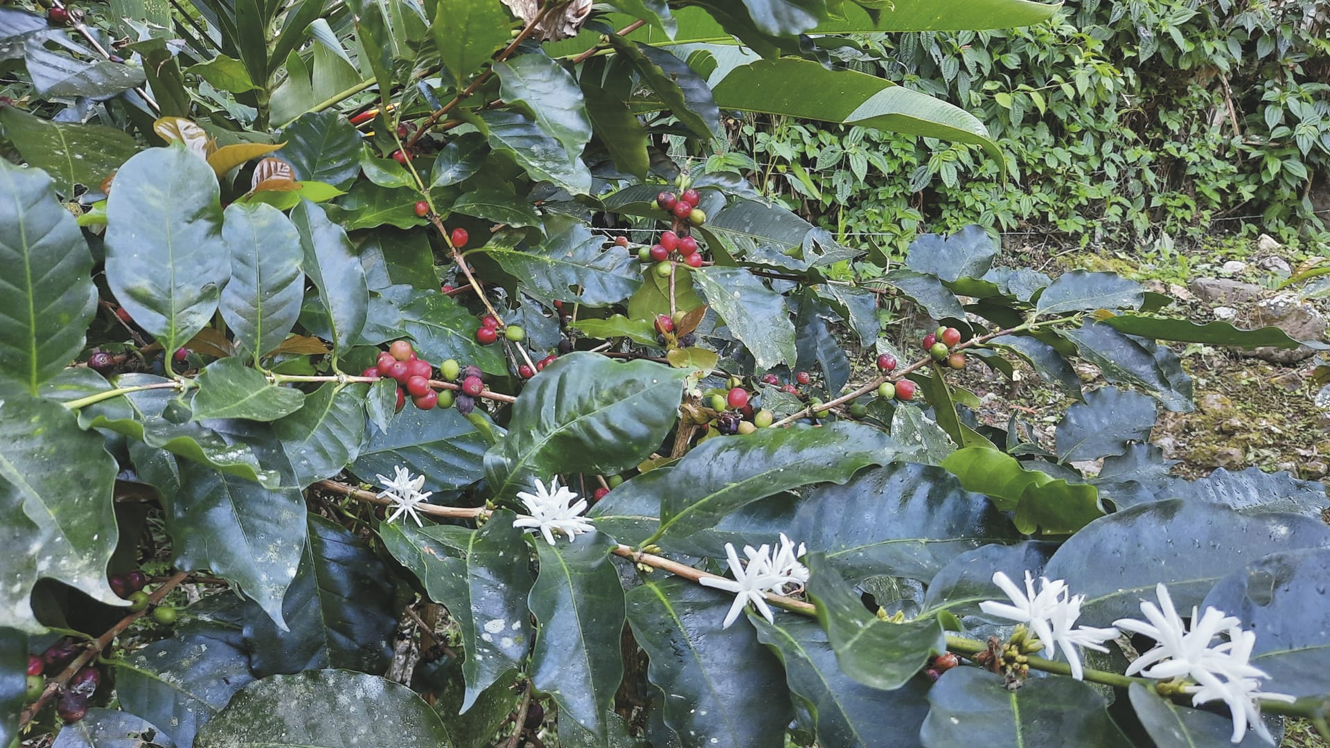 KRB_JM_20240409_HG_3