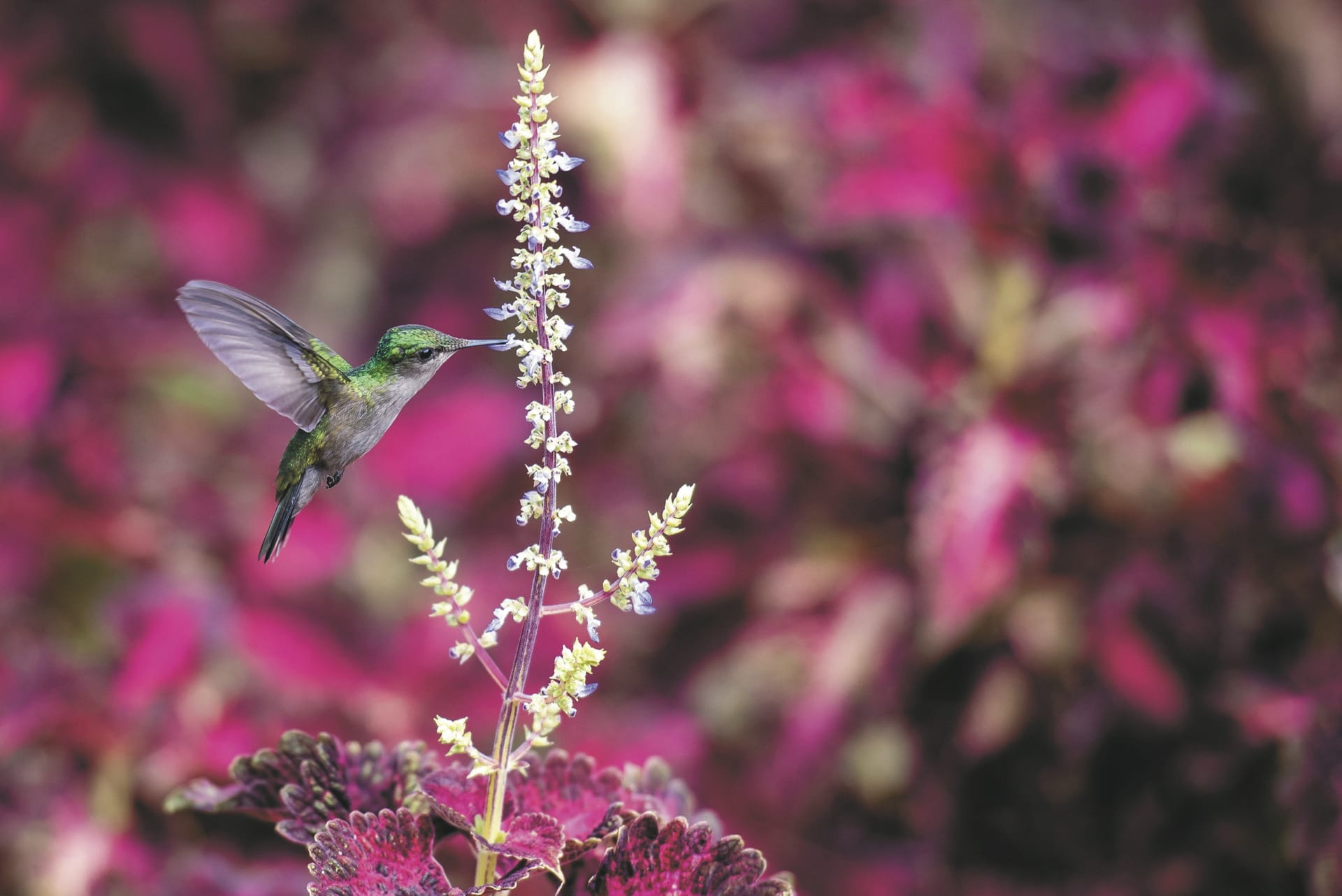 KRB_MQ_20240620_UL_1