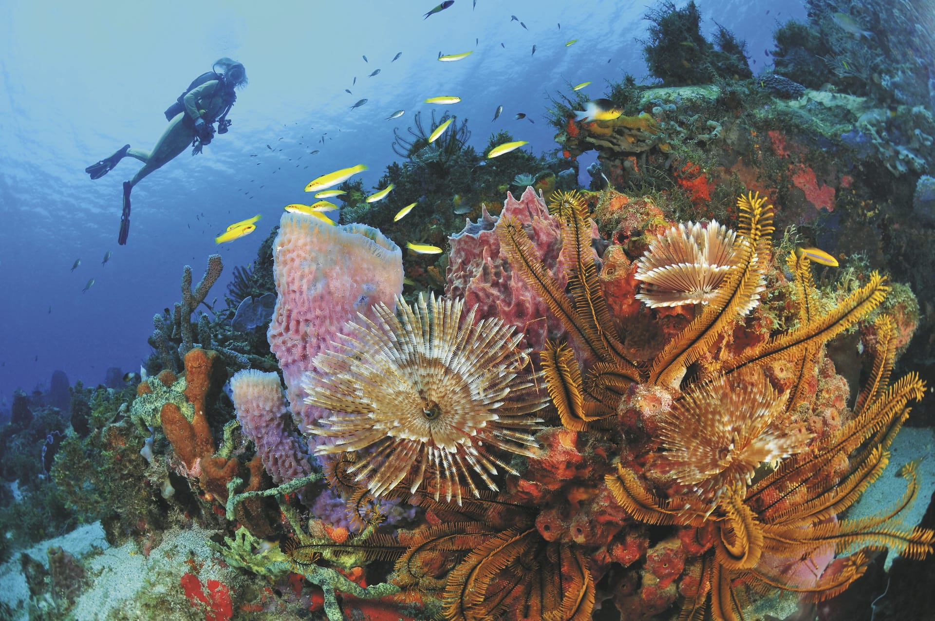 KRB_MQ_20240620_UL_10