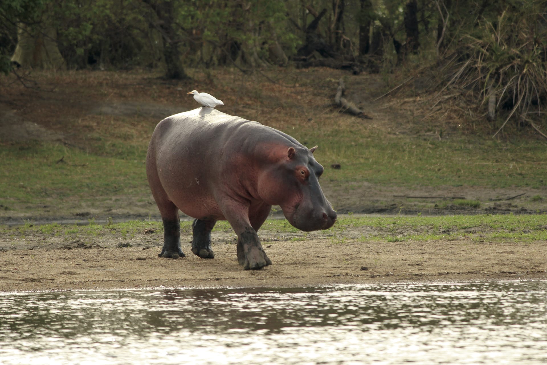 MAL_REG_107_20170116_AD