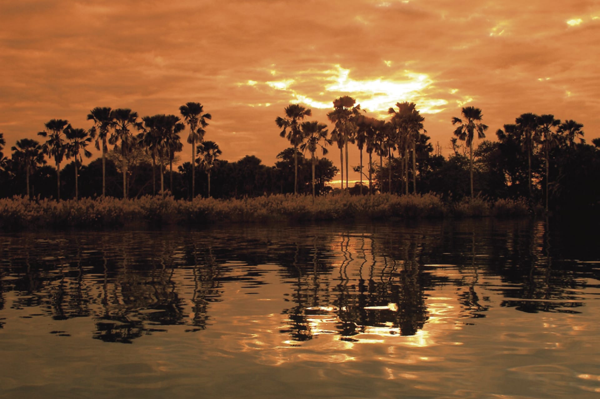 MAL_REG_116_20140409_ss