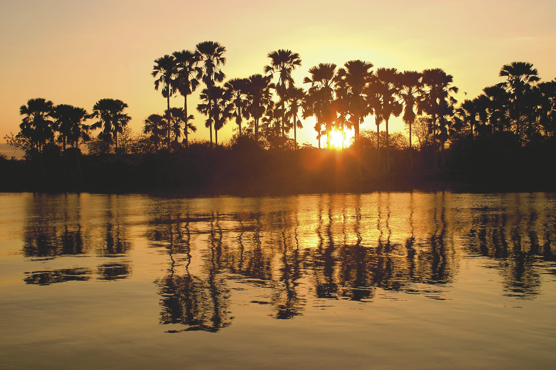 MAL_REG_165_20100604_SS