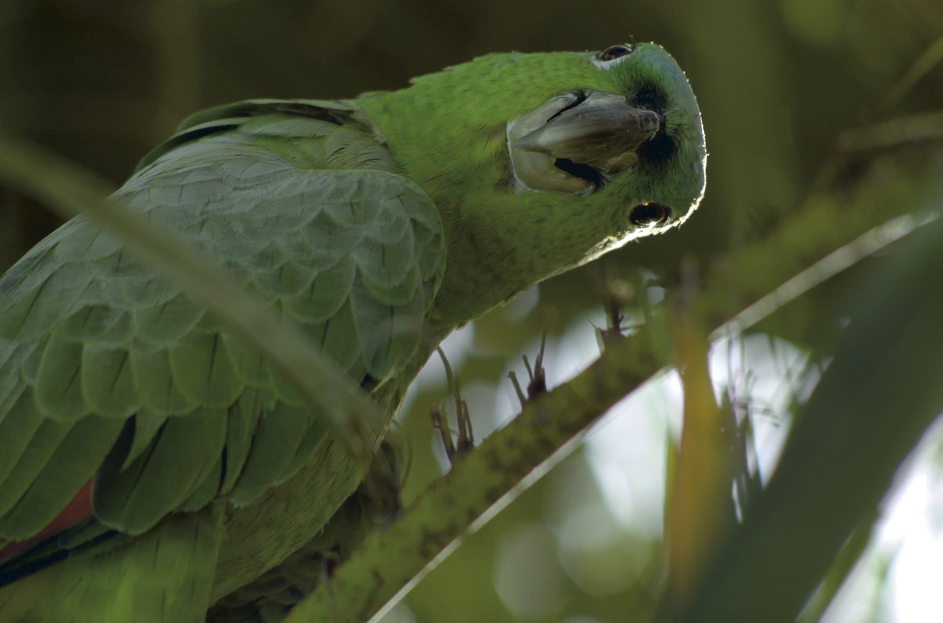 MAM_CR_005_20110802_KA