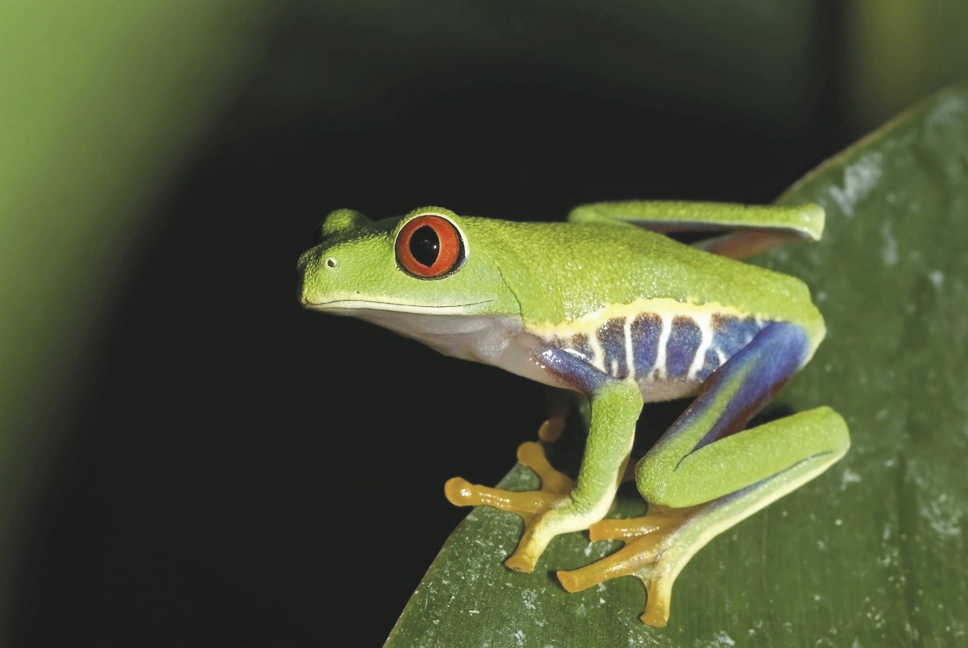 MAM_CR_010_20140722_KA