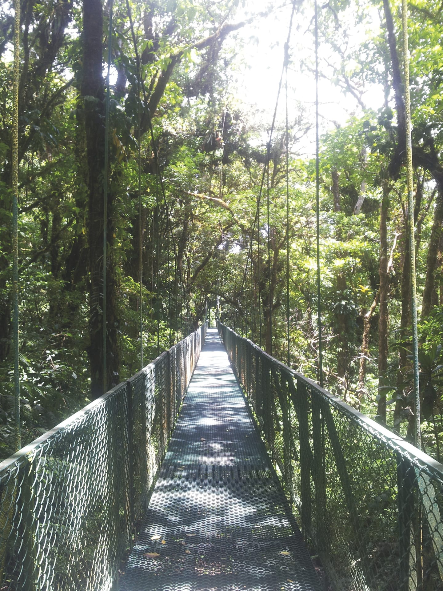 MAM_CR_026_20150629_KA