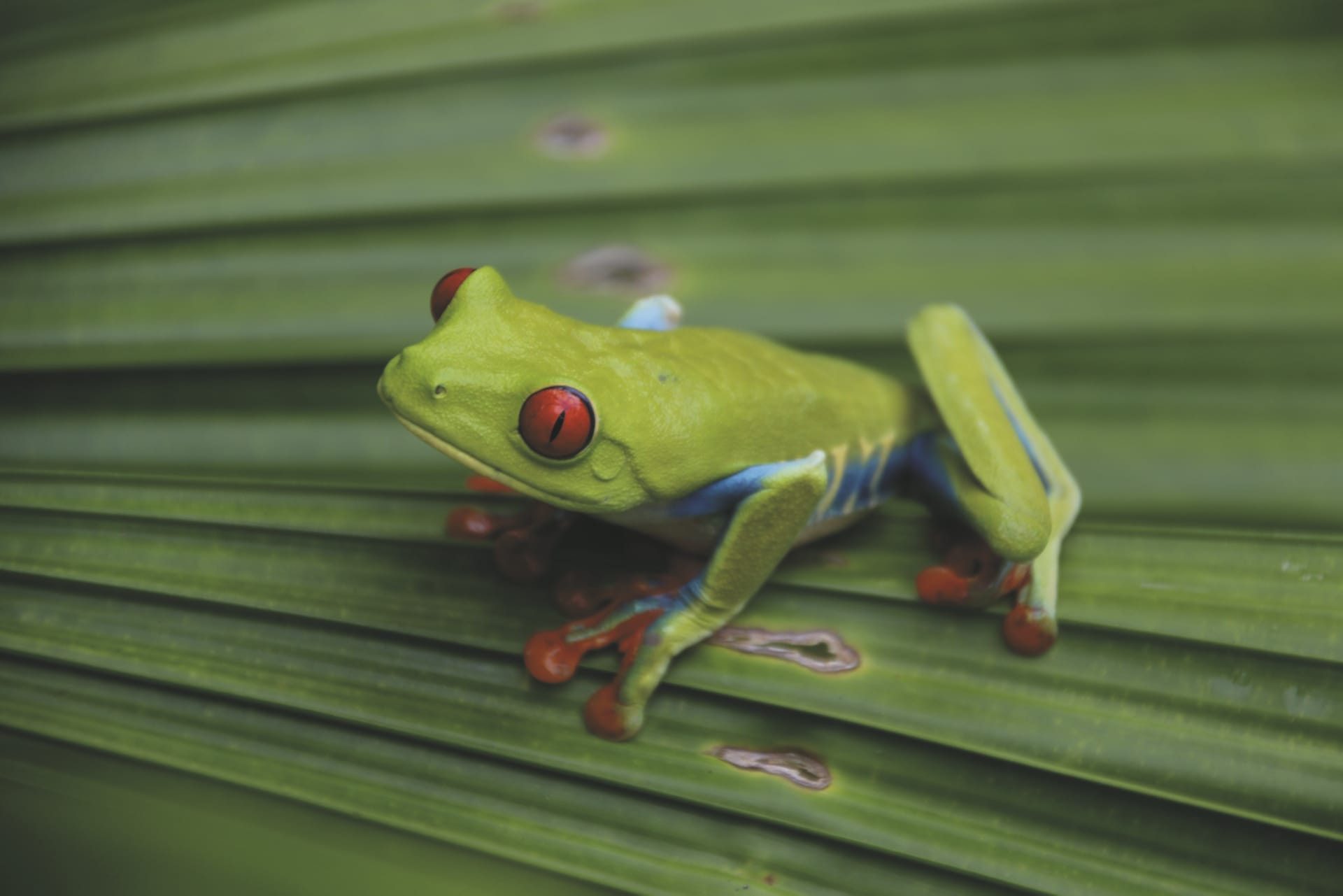 MAM_CR_156_20170331_KA