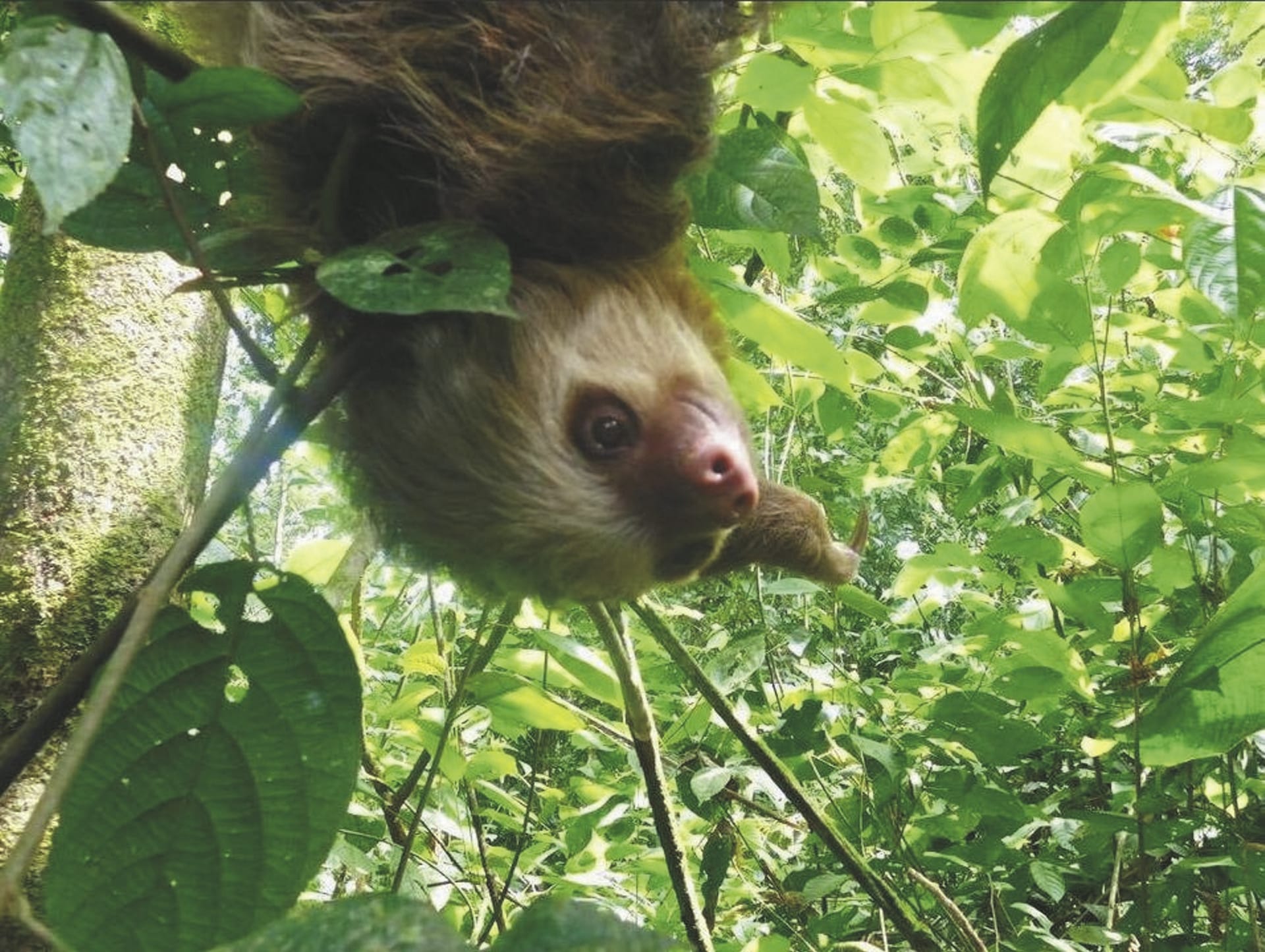 MAM_CR_20190719_NH_2