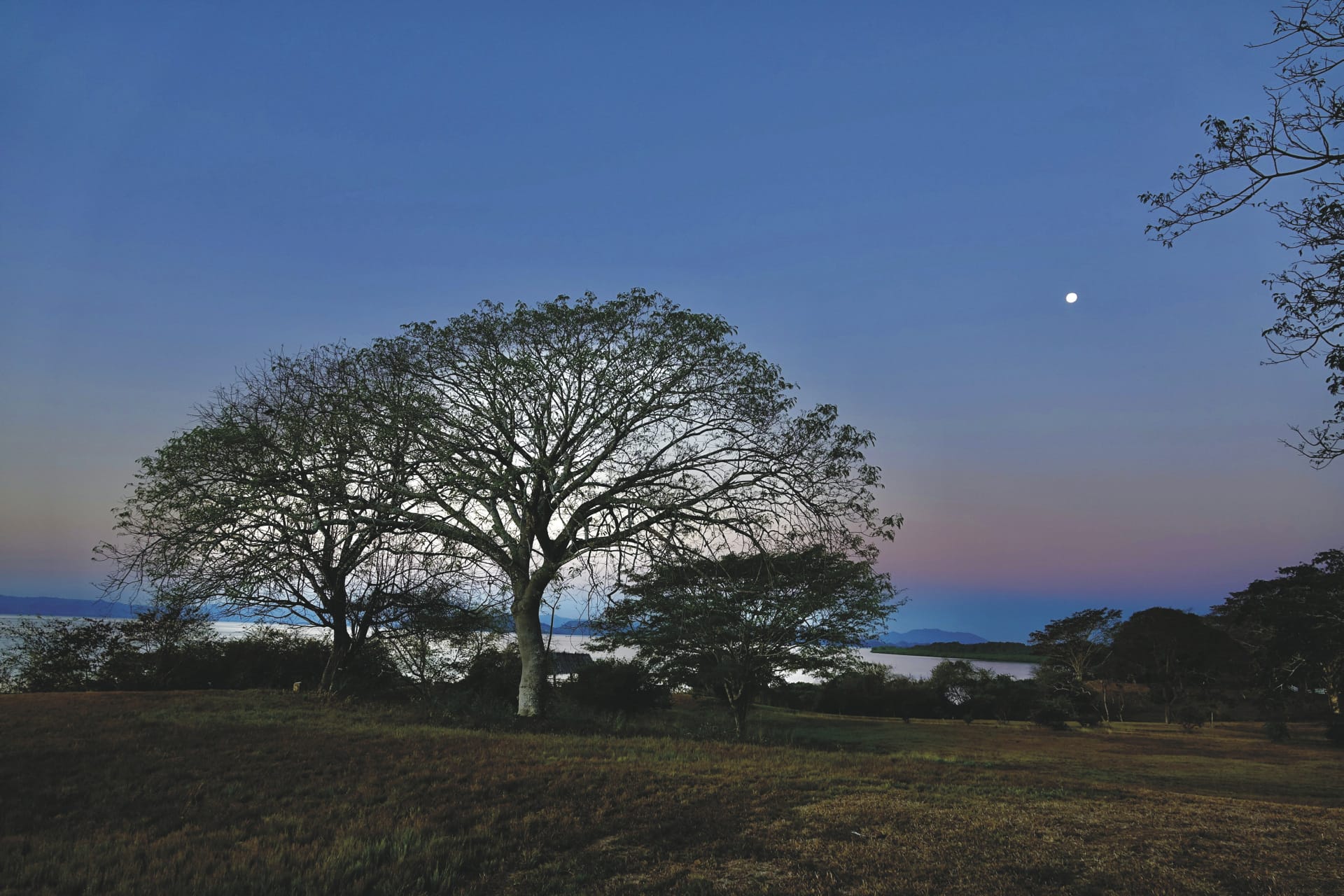 MAM_CR_20250530_HG_43