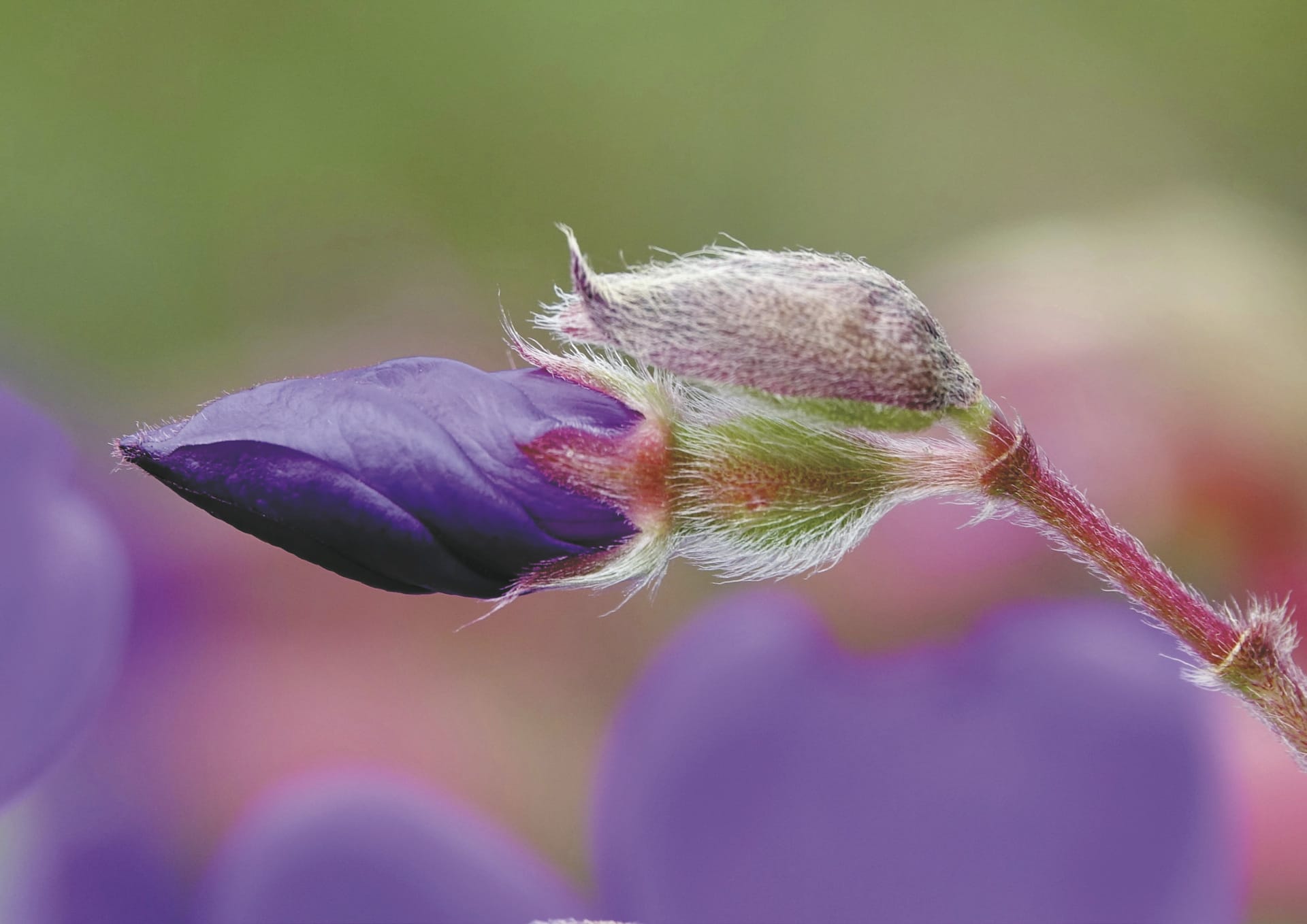 MAM_CR_20250530_HG_48