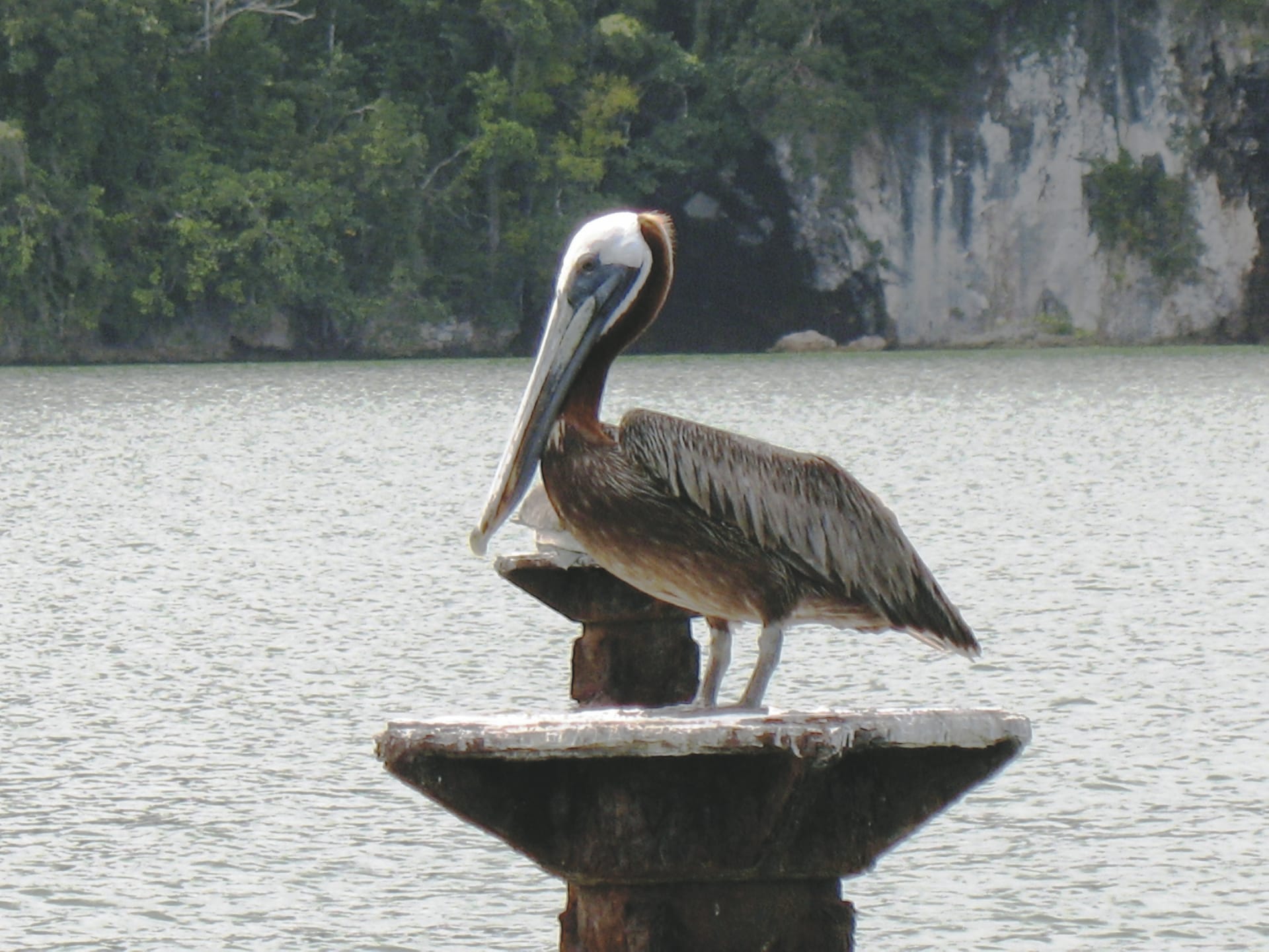 MAM_DO_201907003_JG_1