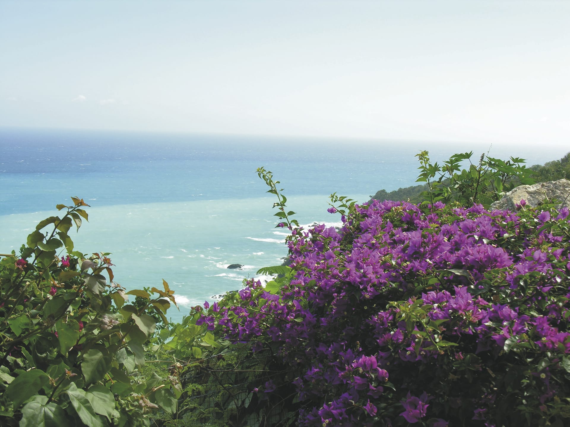 MAM_DO_201907003_JG_6