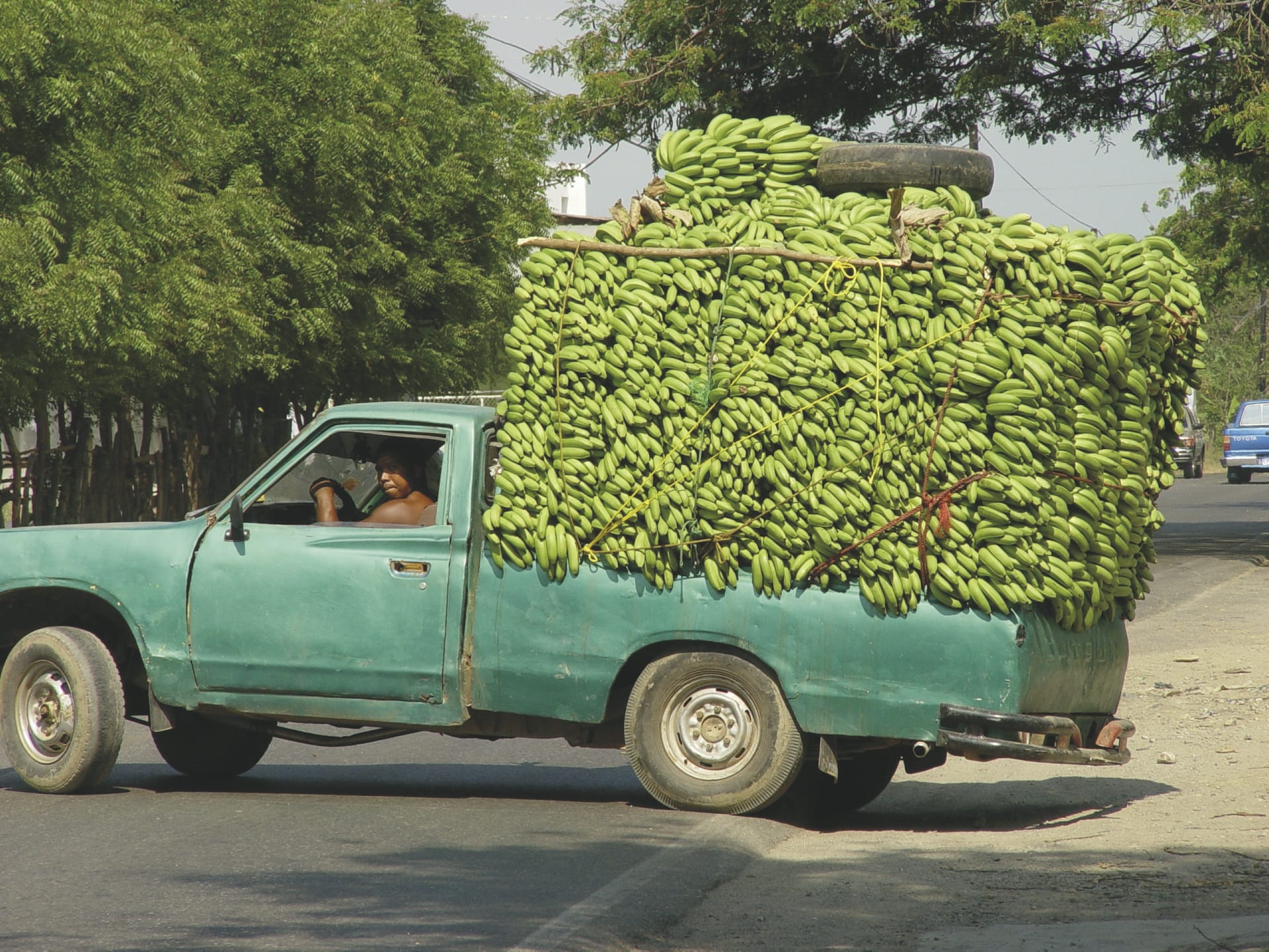 MAM_DO_20190704_JG_2_1