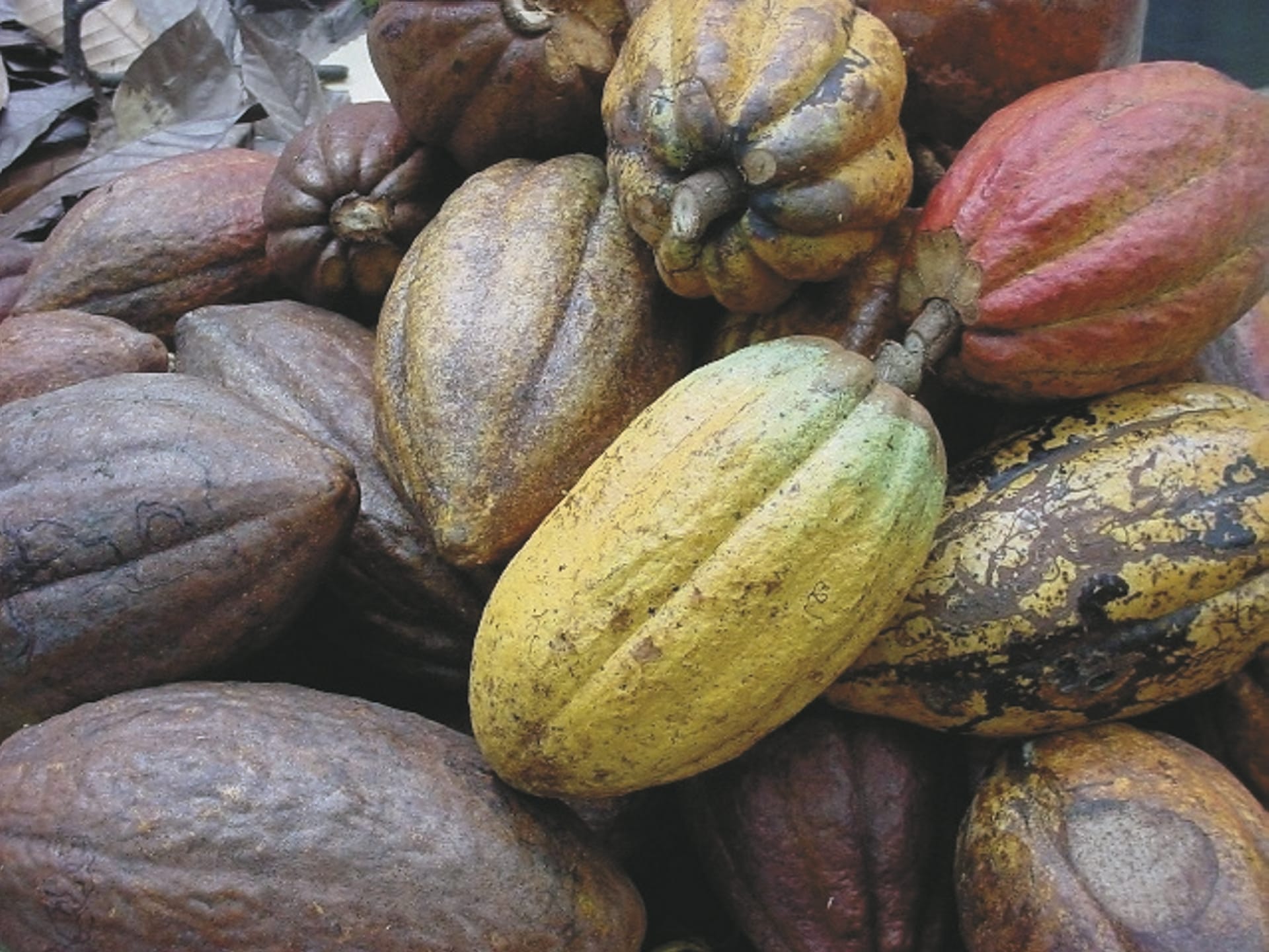 MAM_DO_20190808_NH_2