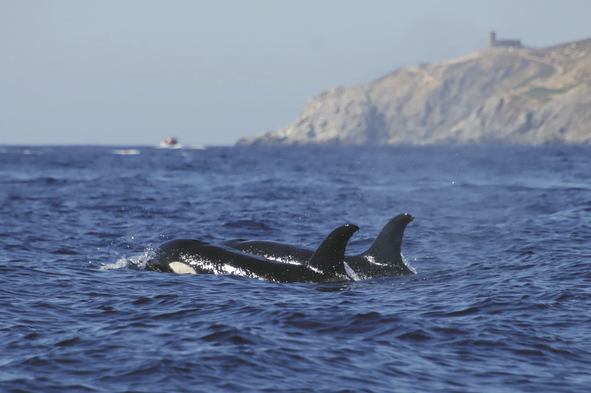 MAM_MX_20250205_HG_13