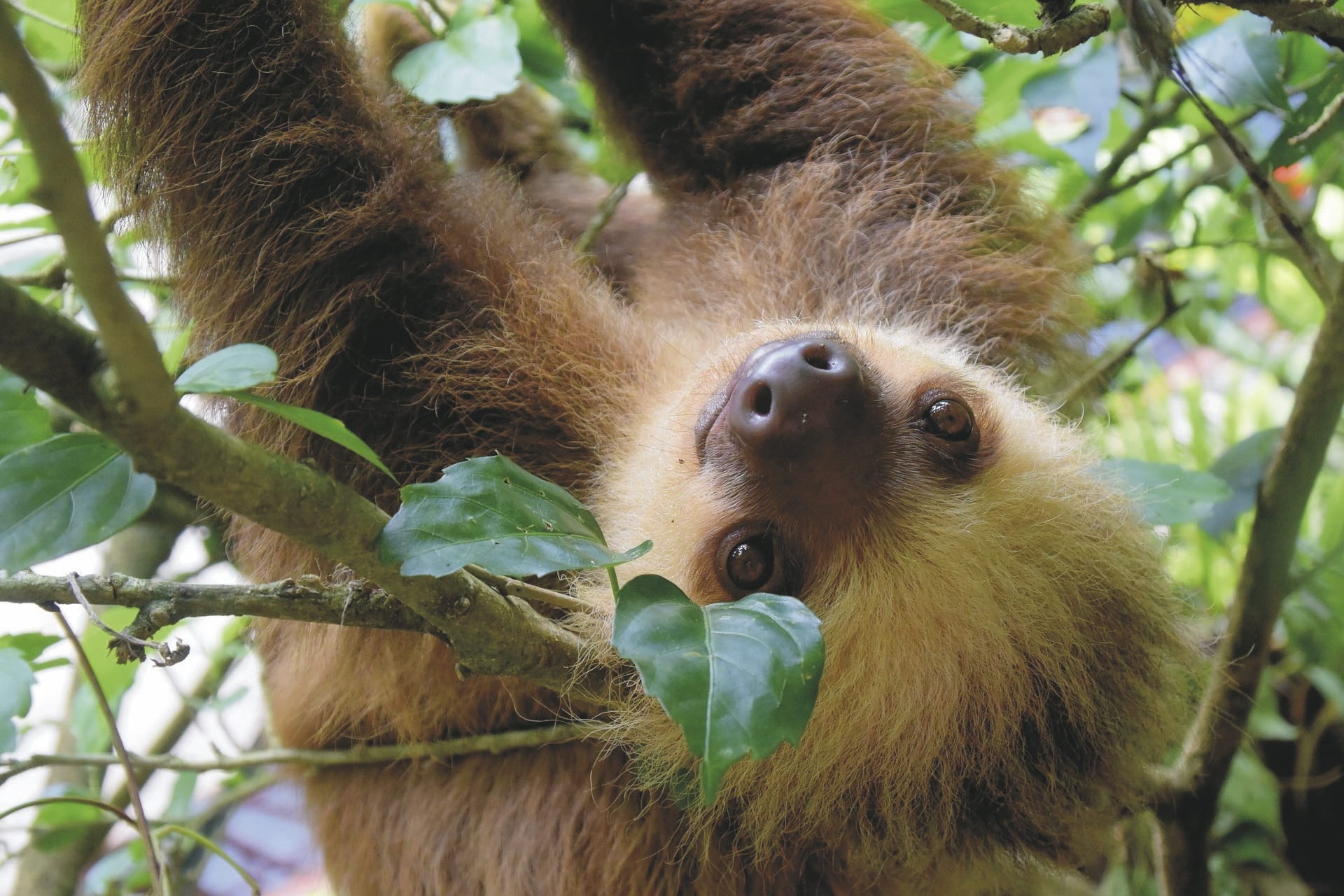 MAM_PA_20190806_NH_02