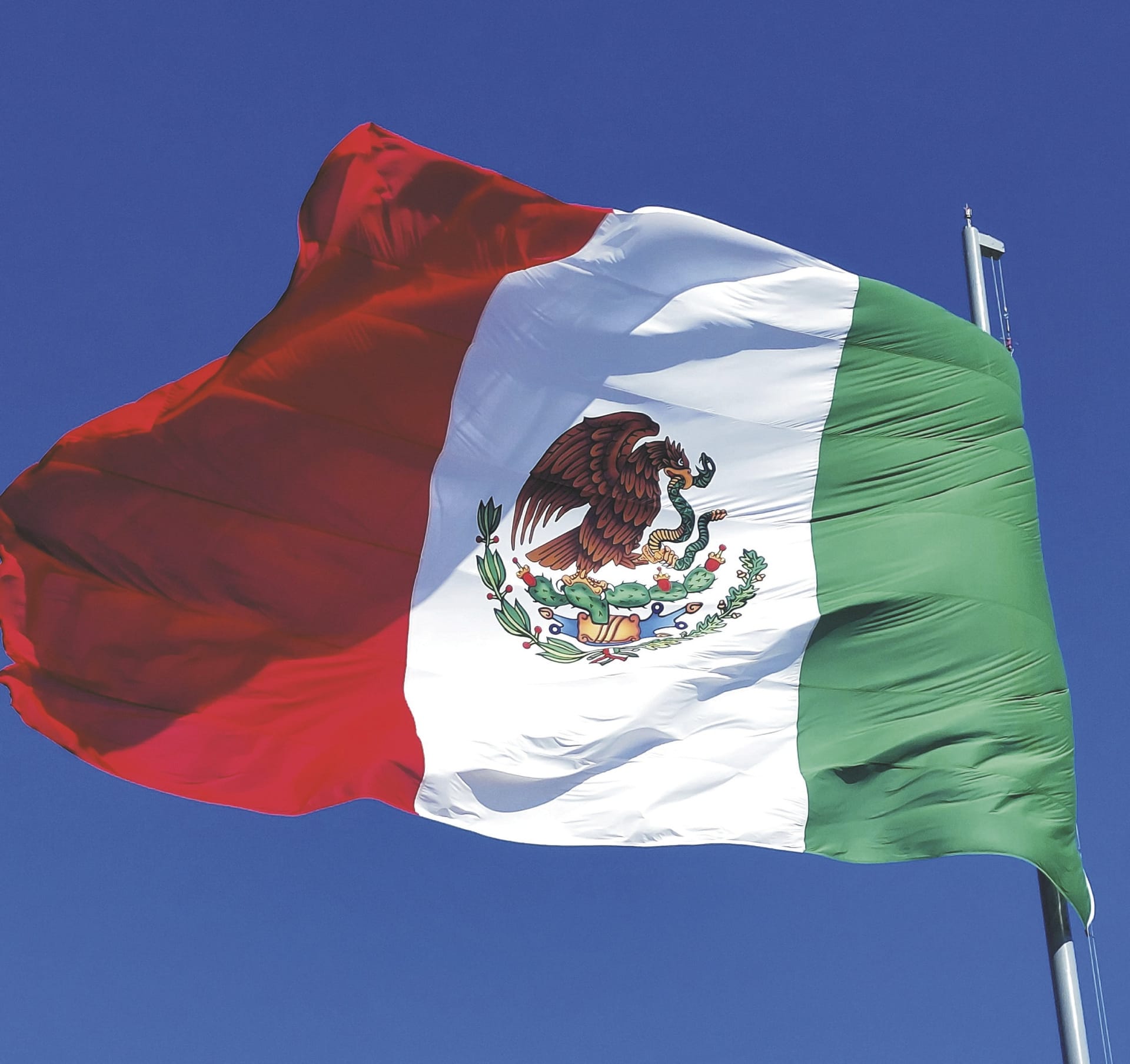 MIT_MEX_20250116_HG_17