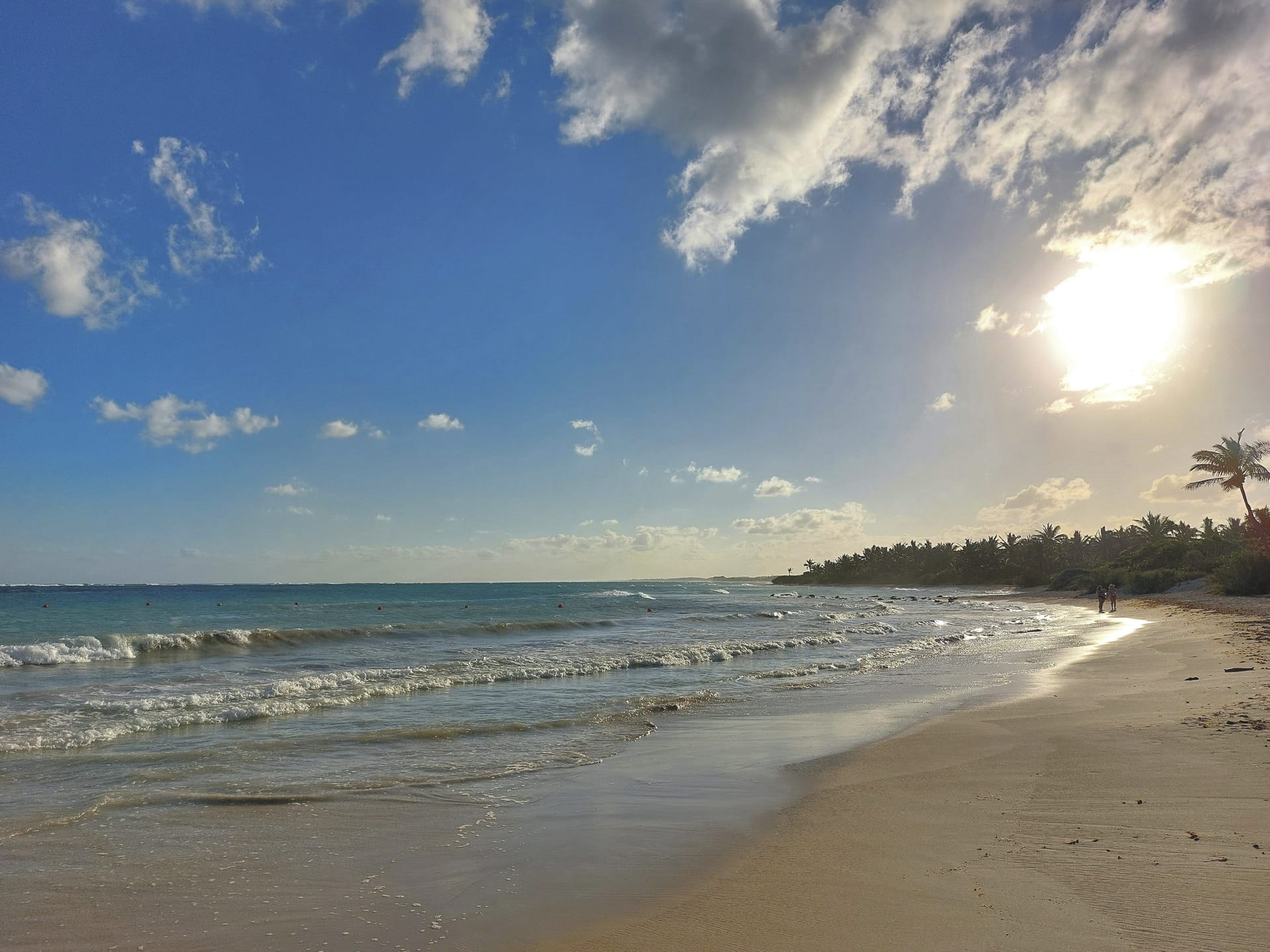 MIT_MEX_20250116_HG_26