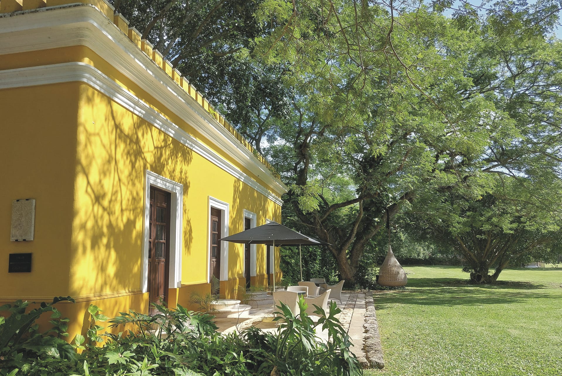 MIT_MEX_20250116_HG_31