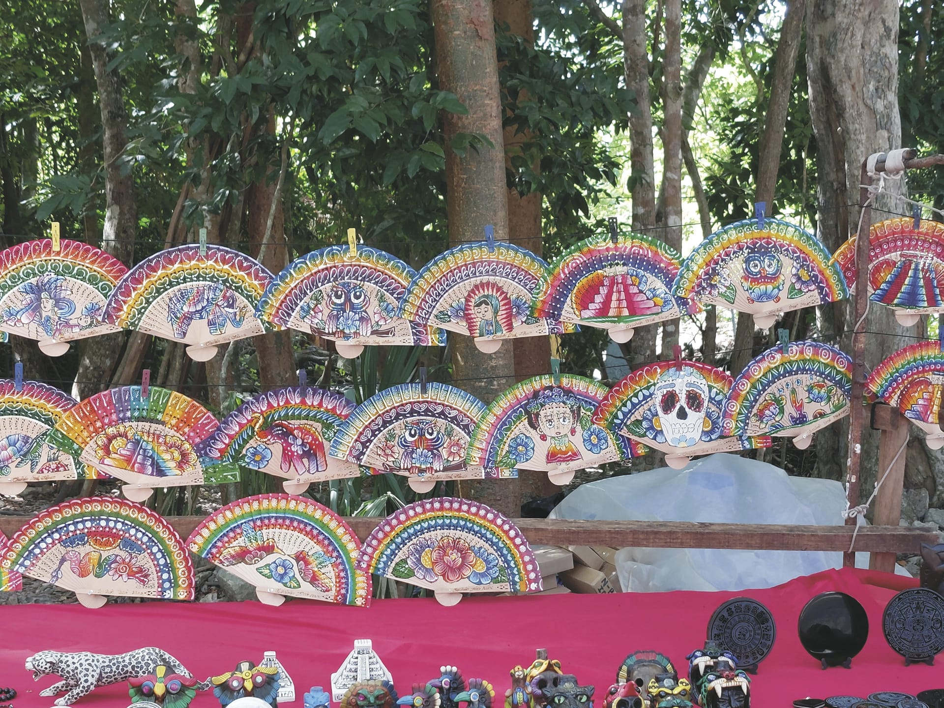 MIT_MEX_20250116_HG_48