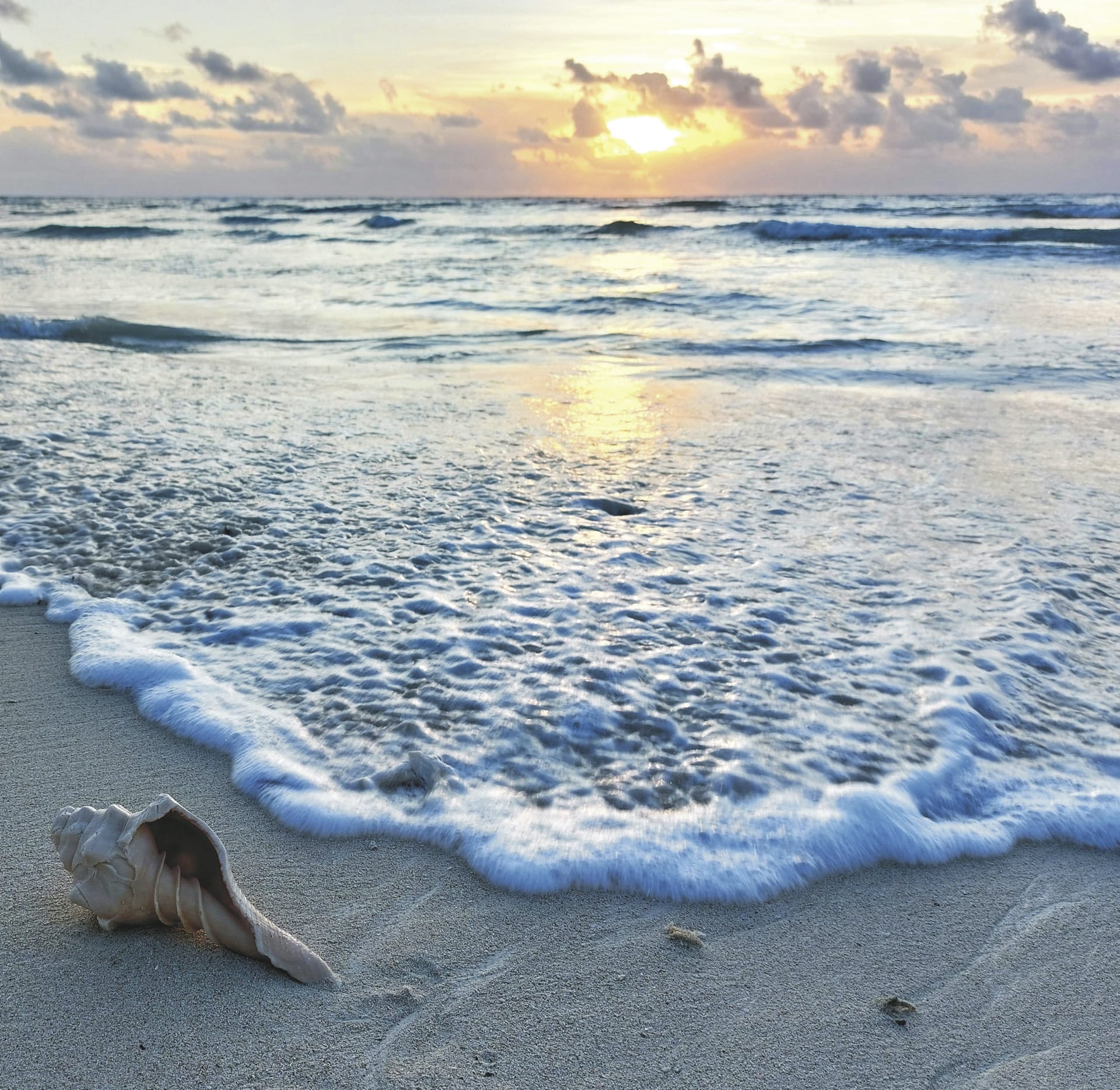 MIT_MEX_20250116_HG_6